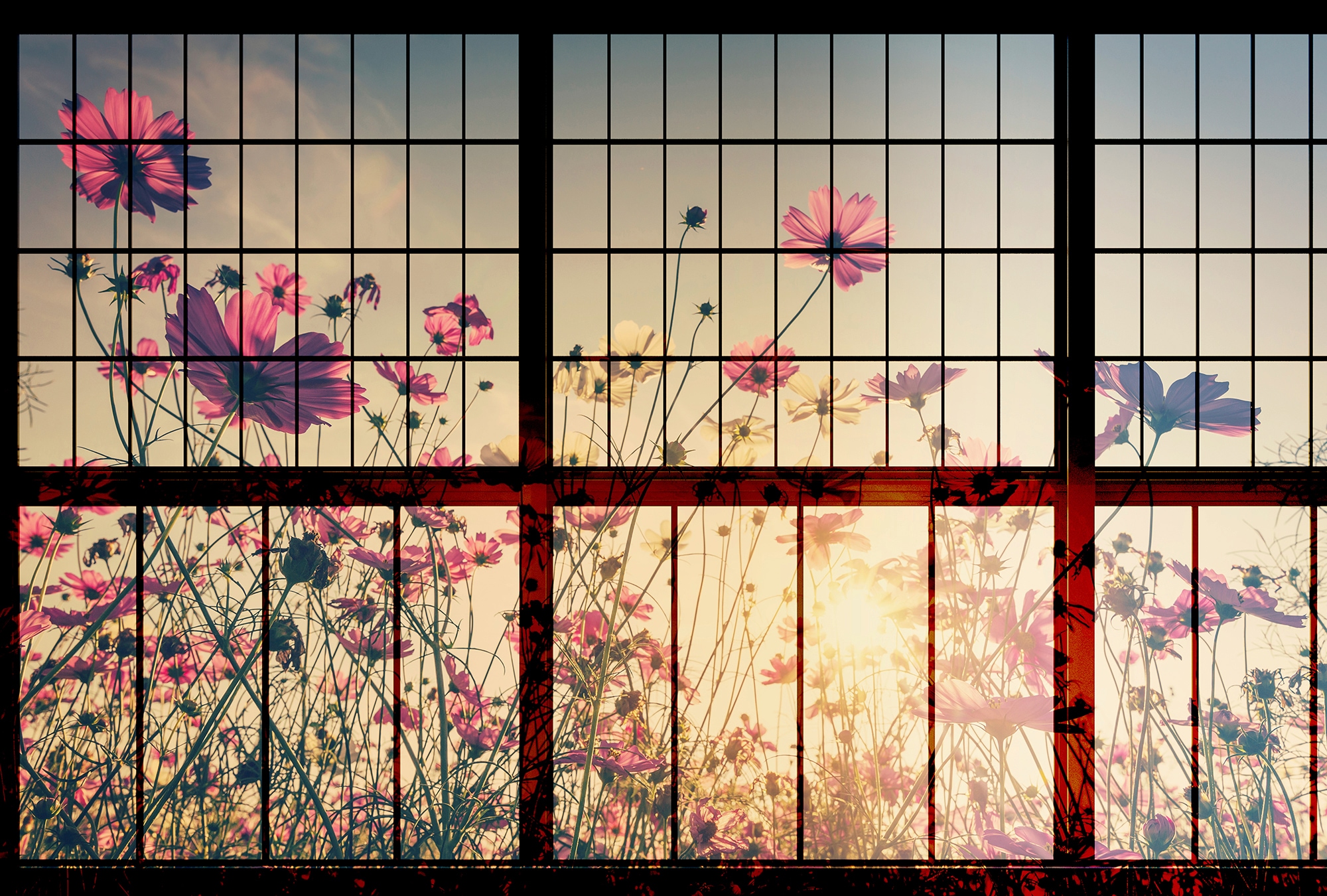 living walls Fototapete "Walls by Patel Meadow 1" glatt Vlies, Wand, Schräg günstig online kaufen