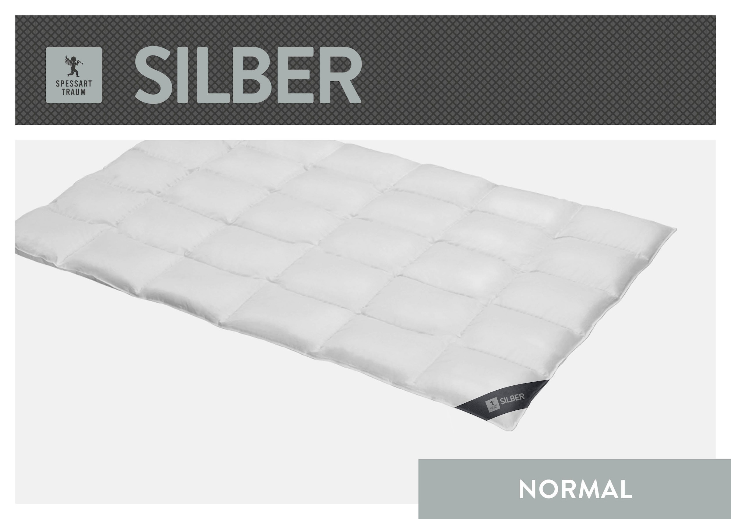 SPESSARTTRAUM Daunenbettdecke "Silber" normal Füllung 100% Daunen 1 Stk. tlg. hergestellt in Deutschland, allergikerfreundlich
