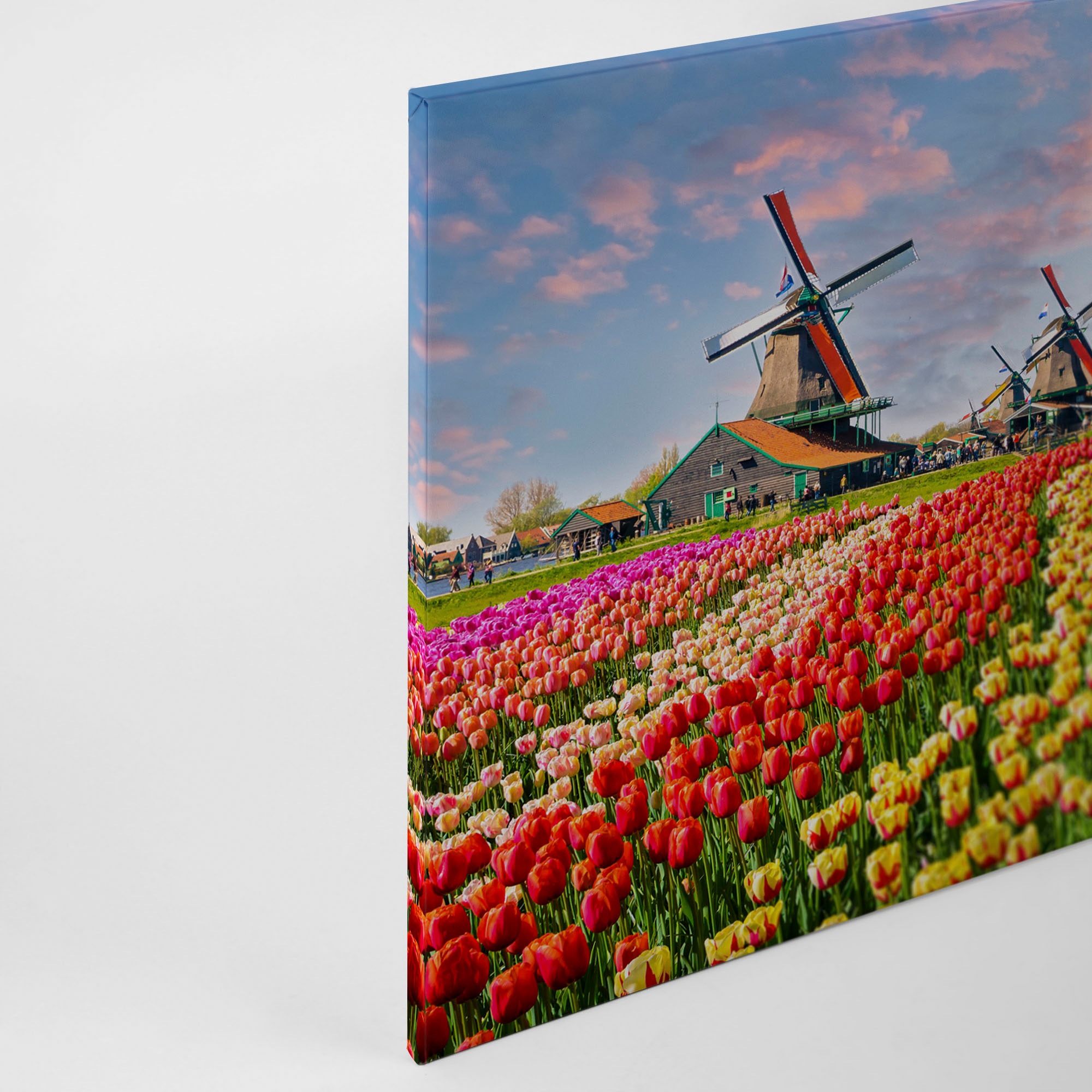 A.S. Création Leinwandbild »Zaanse Schans«, Kunst-Landschaft-Kinder, (1 St.), Keilrahmen Blumenfeld Tulpenfeld Holland Leinwand-Bild Wohnzimmer Wand