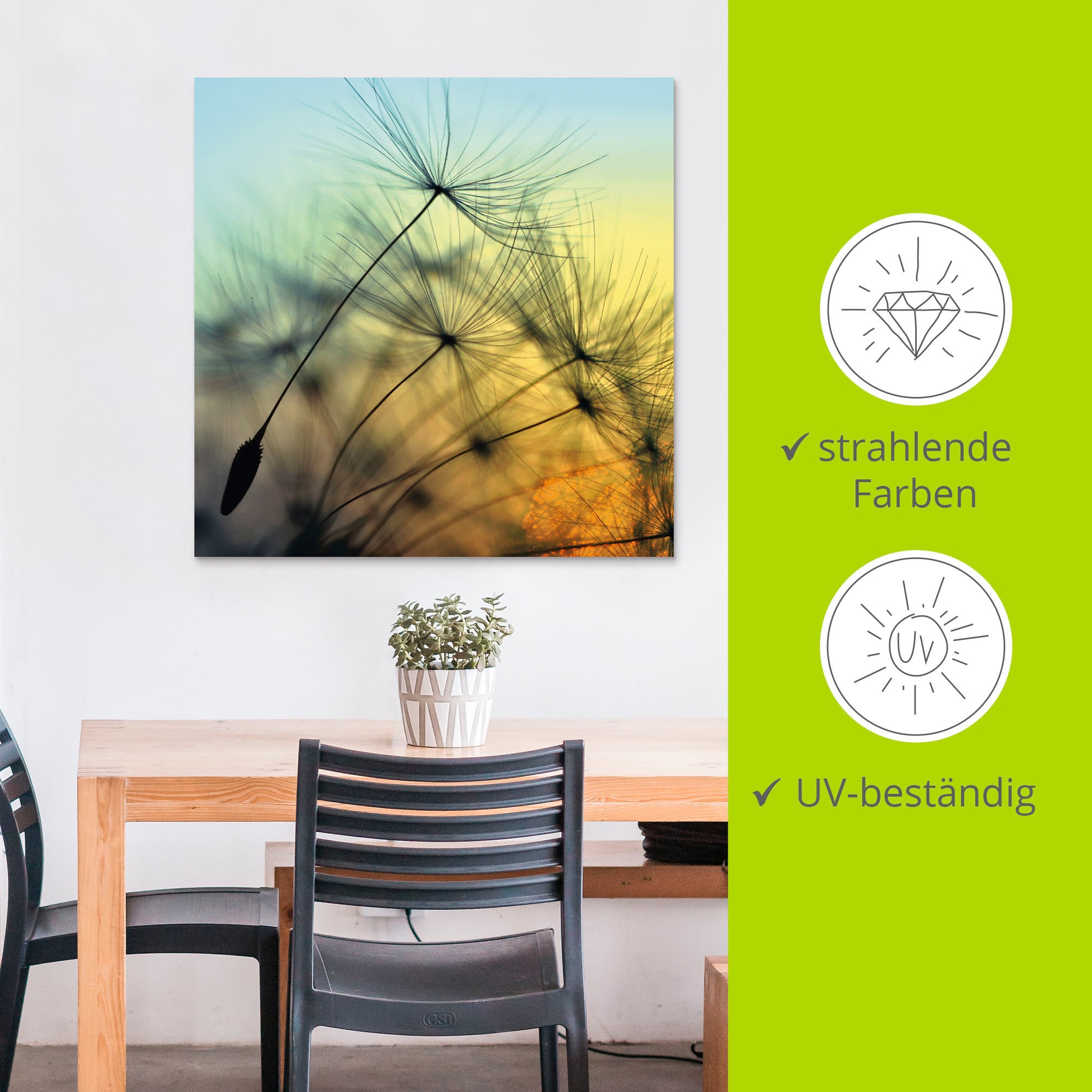Artland Wandbild »Goldener Sonnenuntergang und Pusteblumen«, Blumen, (1 St.), als Alubild, Outdoorbild, Leinwandbild, Poster, Wandaufkleber