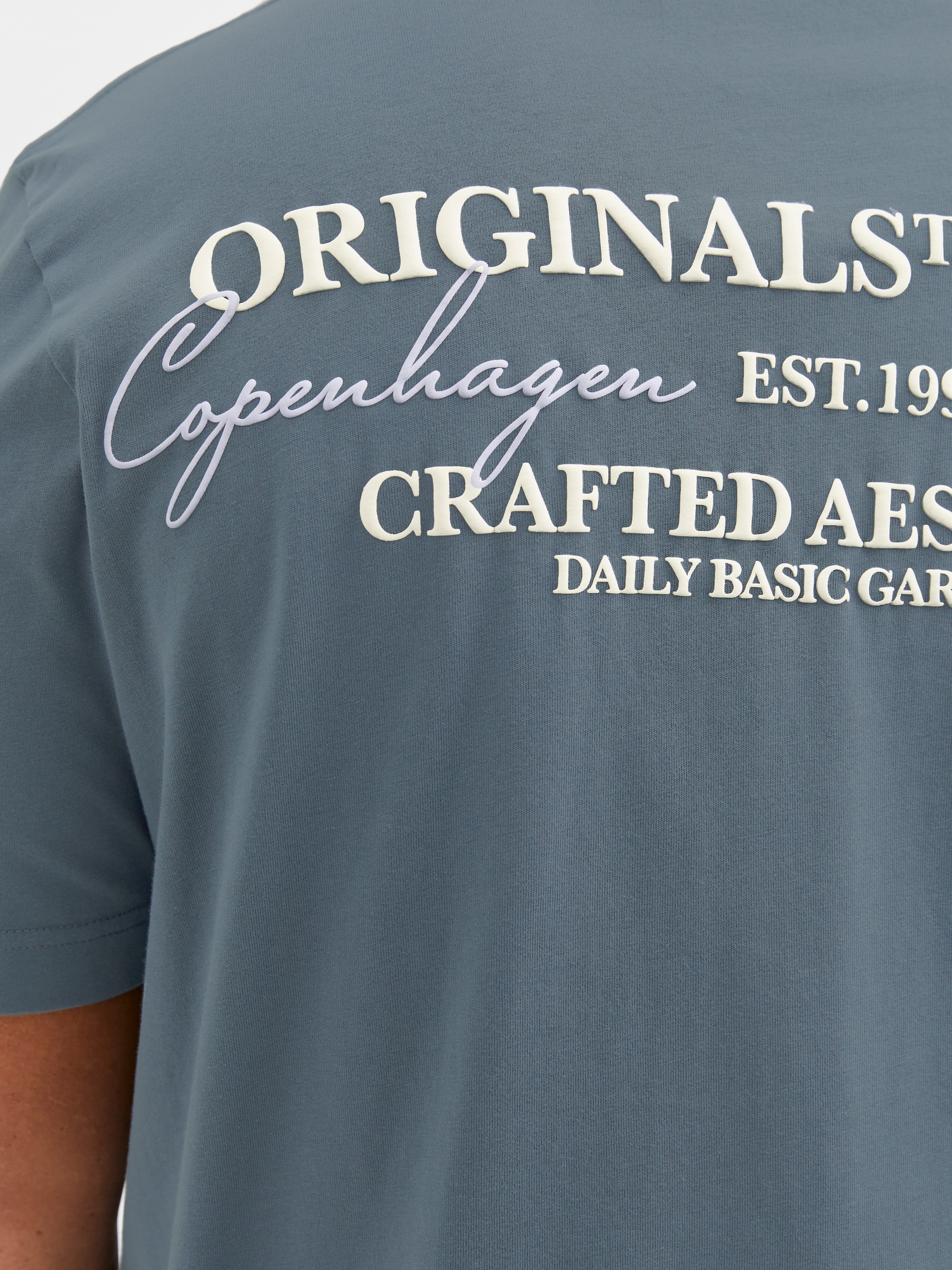 Jack & Jones PlusSize Kurzarmshirt »JORISLINGTON TYPE TEE SS CREW NECK PLS«