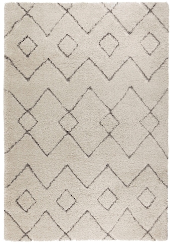 FLAIR RUGS Ilgo plauko kilimas »Imari« rechteckig...