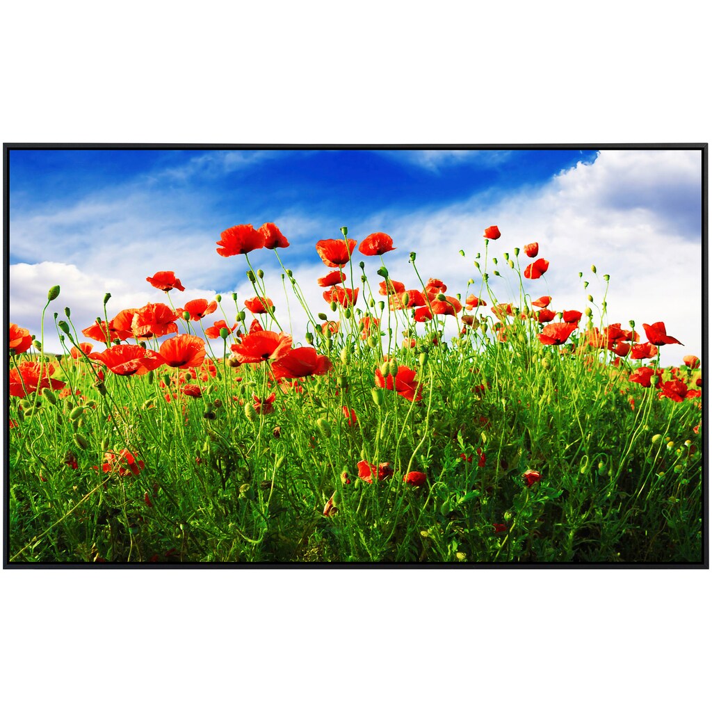 Papermoon Infrarotheizung »Rote Mohnblumen«
