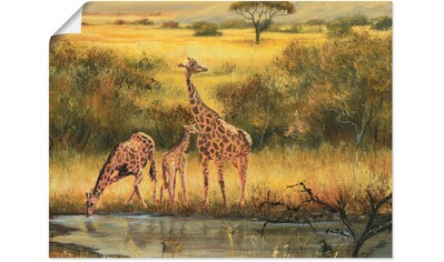Artland Wandbild »Giraffen«, (1 St.), in vielen Größen & Produktarten - Alubild /... kaufen
