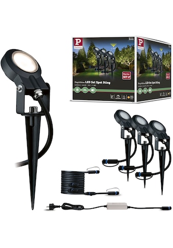 LED Gartenstrahler »Plug & Shine«, 3 flammig-flammig