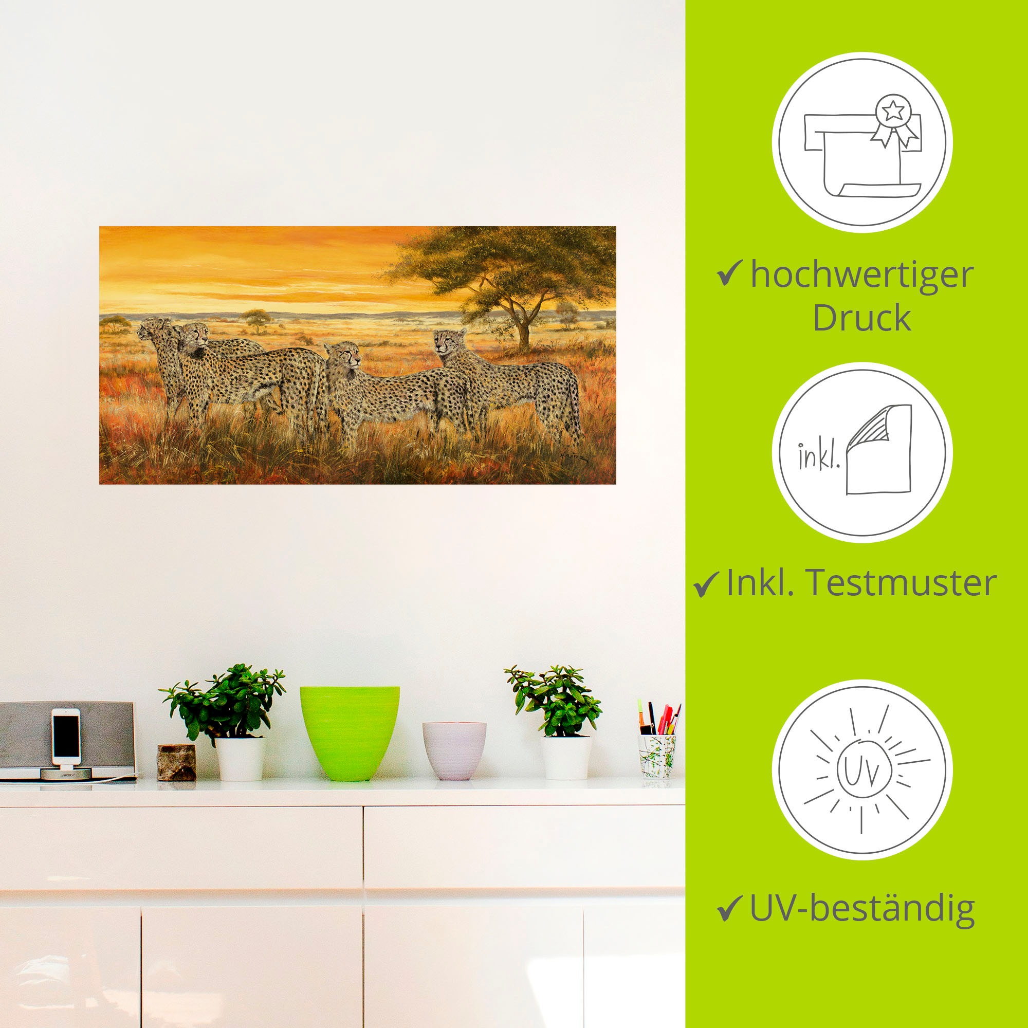 Artland Wandbild »4 Geparden«, Wildtiere, (1 St.), als Leinwandbild, Wandaufkleber in verschied. Größen