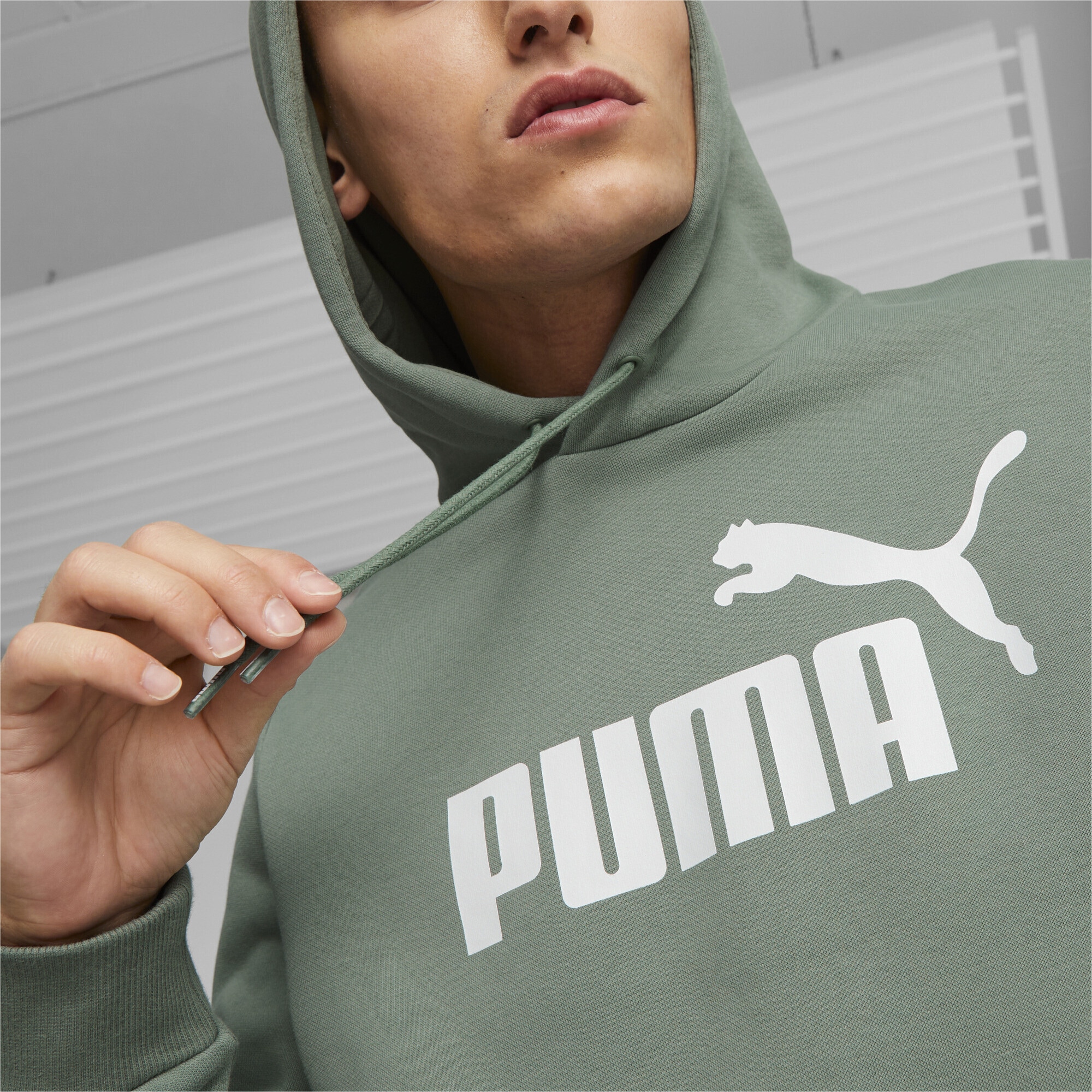 | Logo ▷ Big bestellen Herren-Hoodie« PUMA Sweatshirt BAUR »Essentials