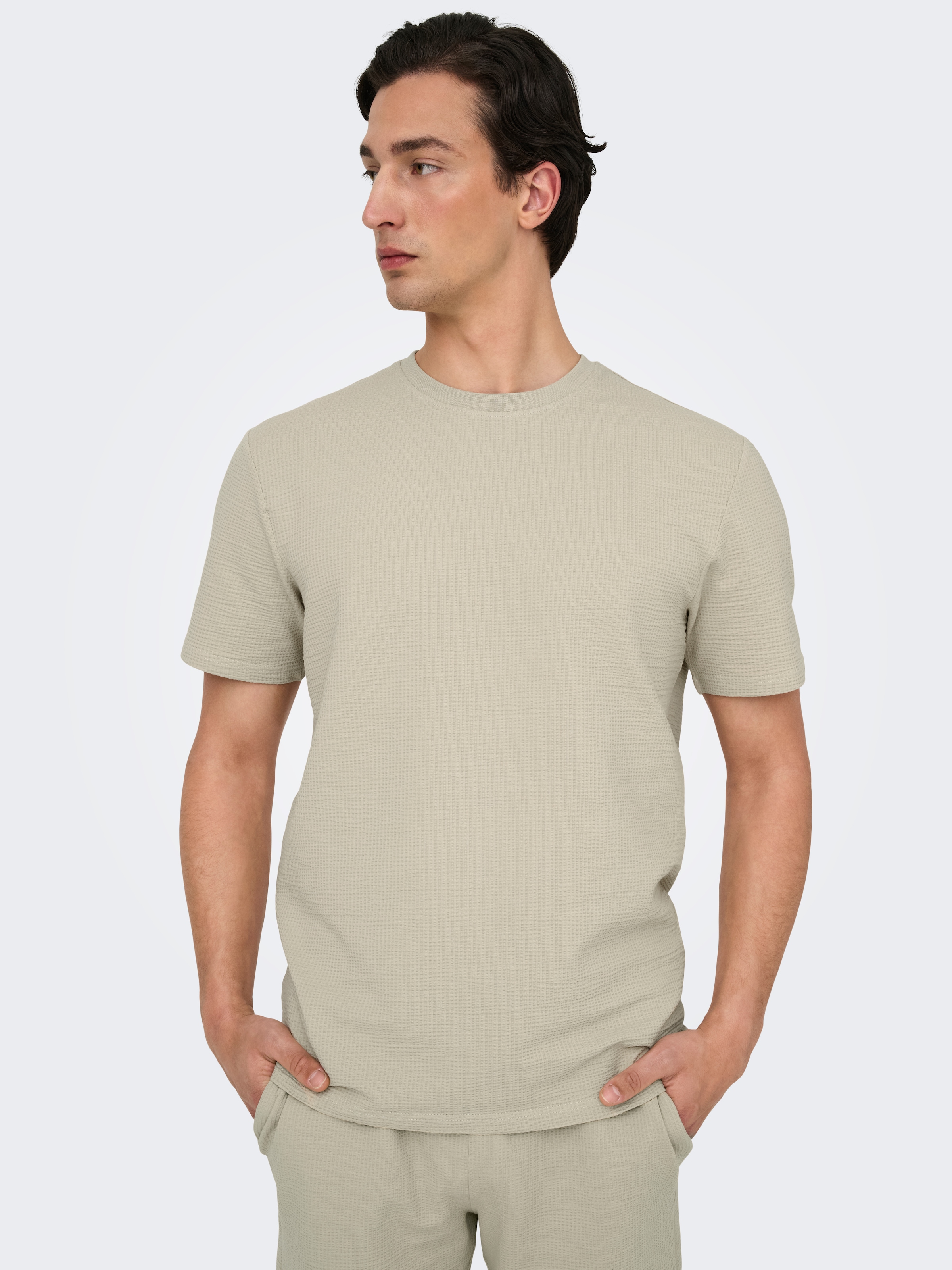 ONLY & SONS Rundhalsshirt "ONSKIAN LIFE REG SEERSUCKER SS TEE NOOS" günstig online kaufen