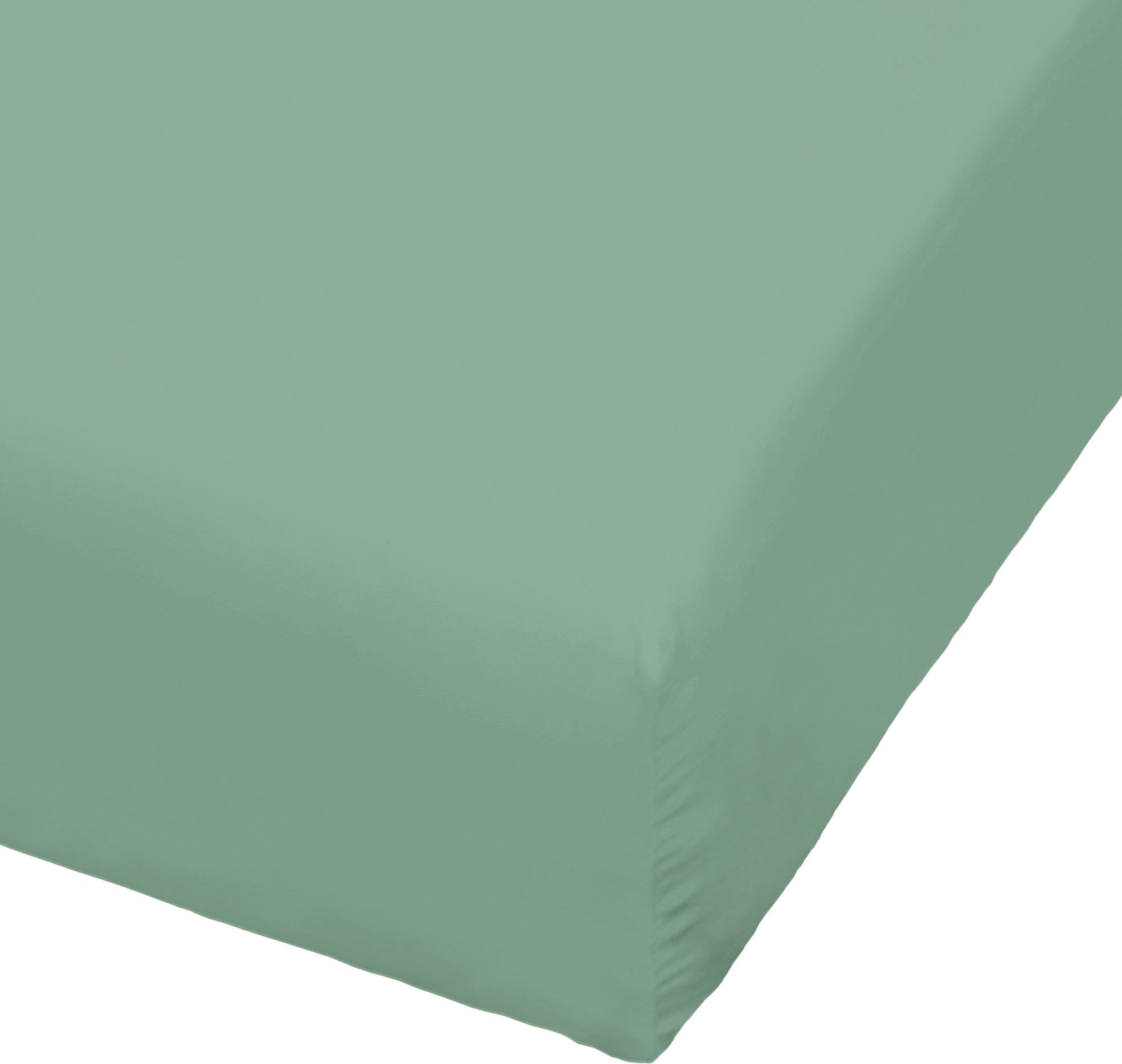 BIERBAUM Spannbettlaken "Jersey" 95 % Baumwolle und 5 % Elasthan für optima günstig online kaufen