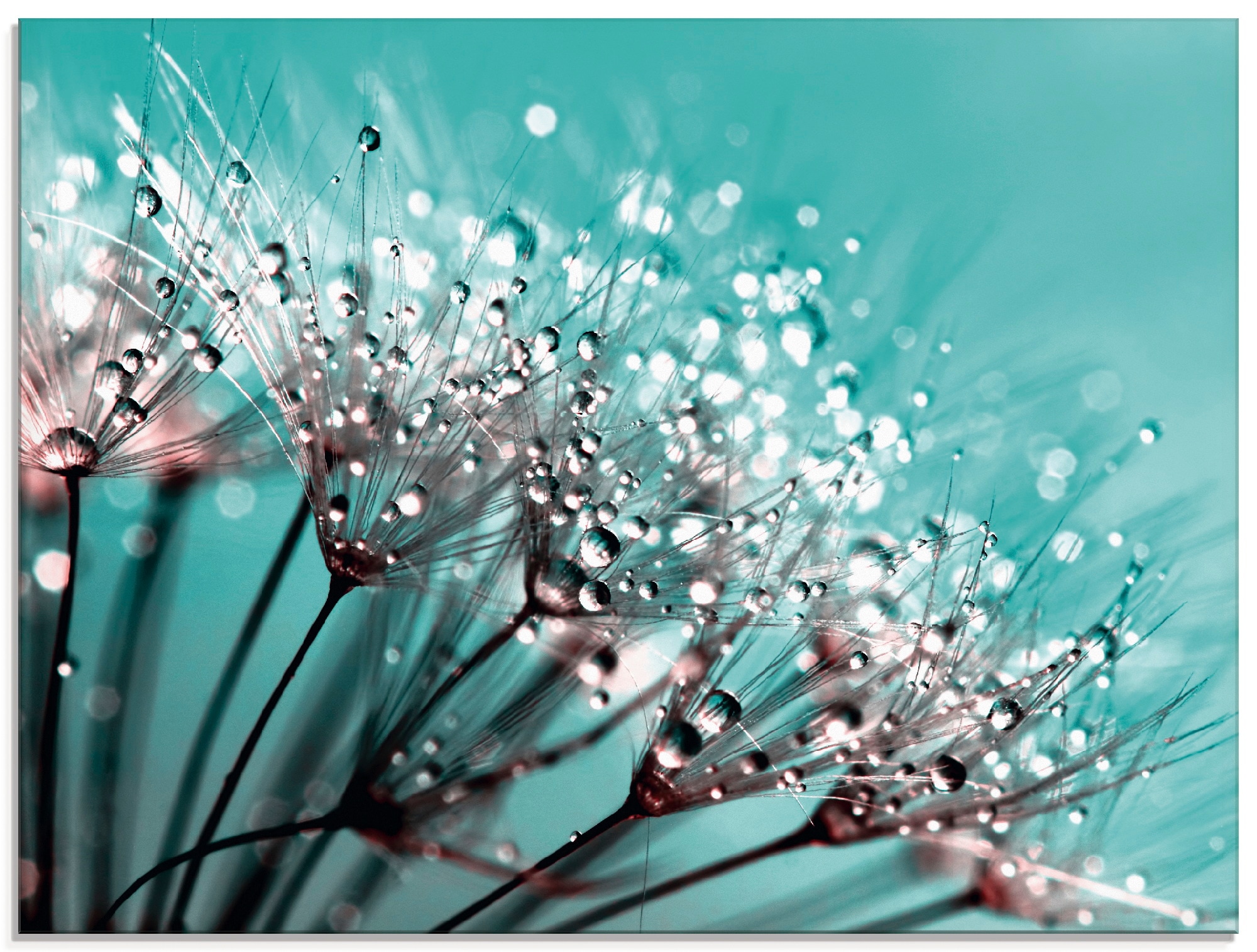 Artland Glasbild »Glitzernde Pusteblume I«, Blumen, (1 St.), in verschiedenen Größen