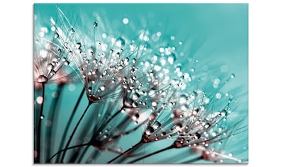 Glasbild »Glitzernde Pusteblume I«, Blumen, (1 St.)