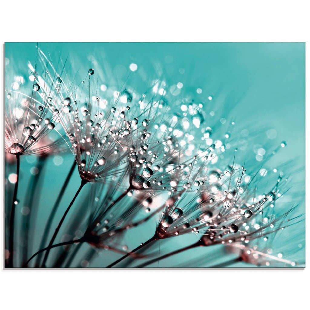 Artland Glasbild »Glitzernde Pusteblume I«, Blumen, (1 St.)