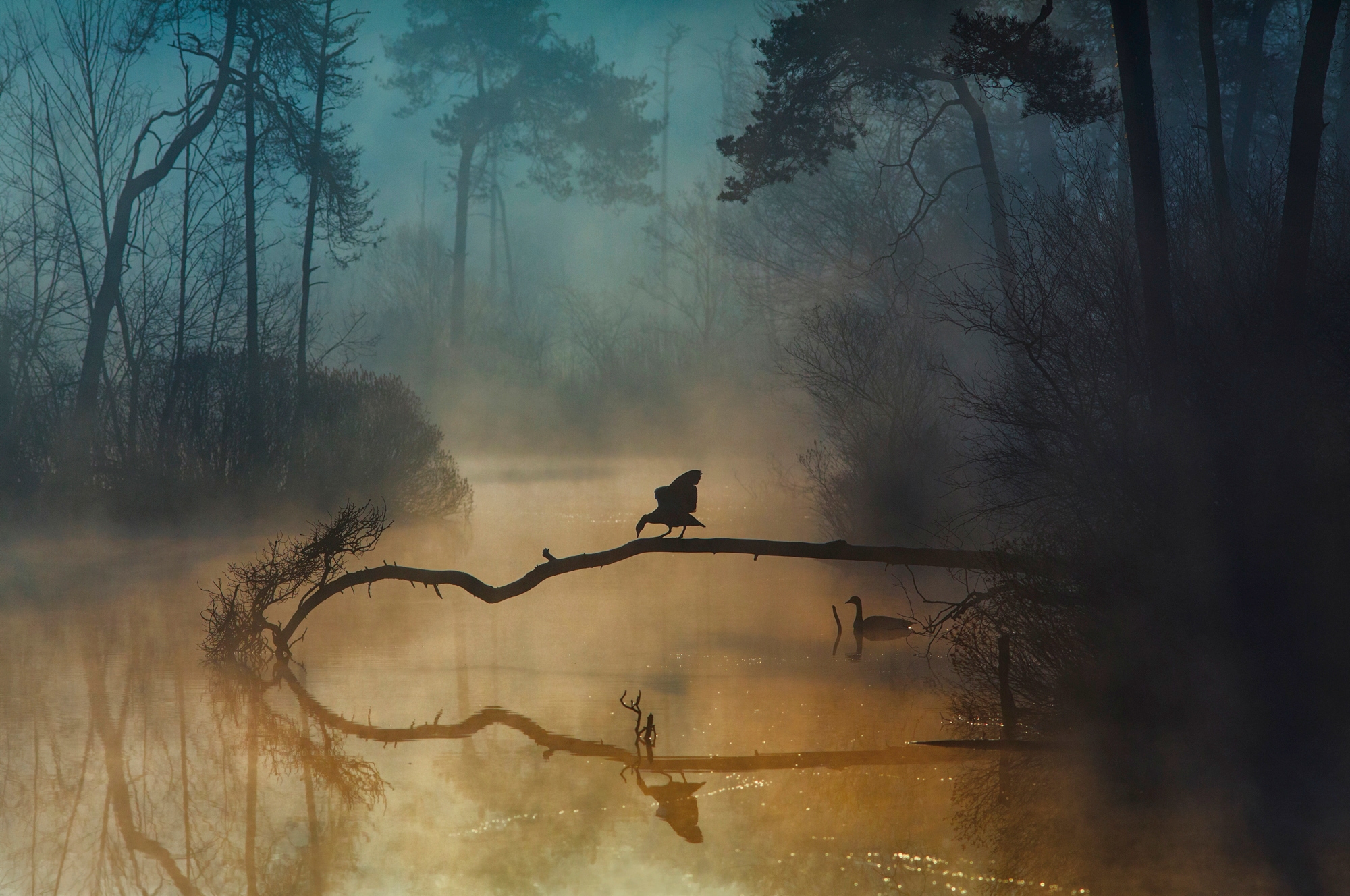 Papermoon "Photo-Art ANTON VAN DONGEN, BLAUE STUNDE"