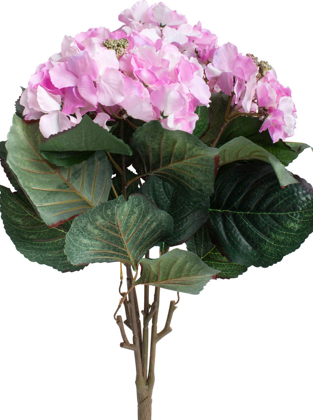 Botanic-Haus Kunstblume »Hortensienbusch mit 5-Blueten«