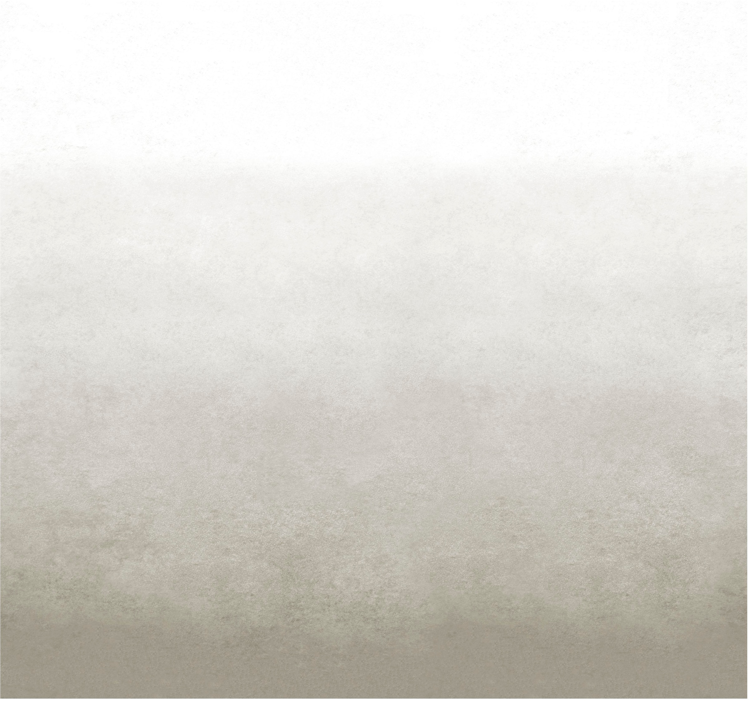vtwonen Fototapetas »Degrade« Ton-in-Ton Grau ...