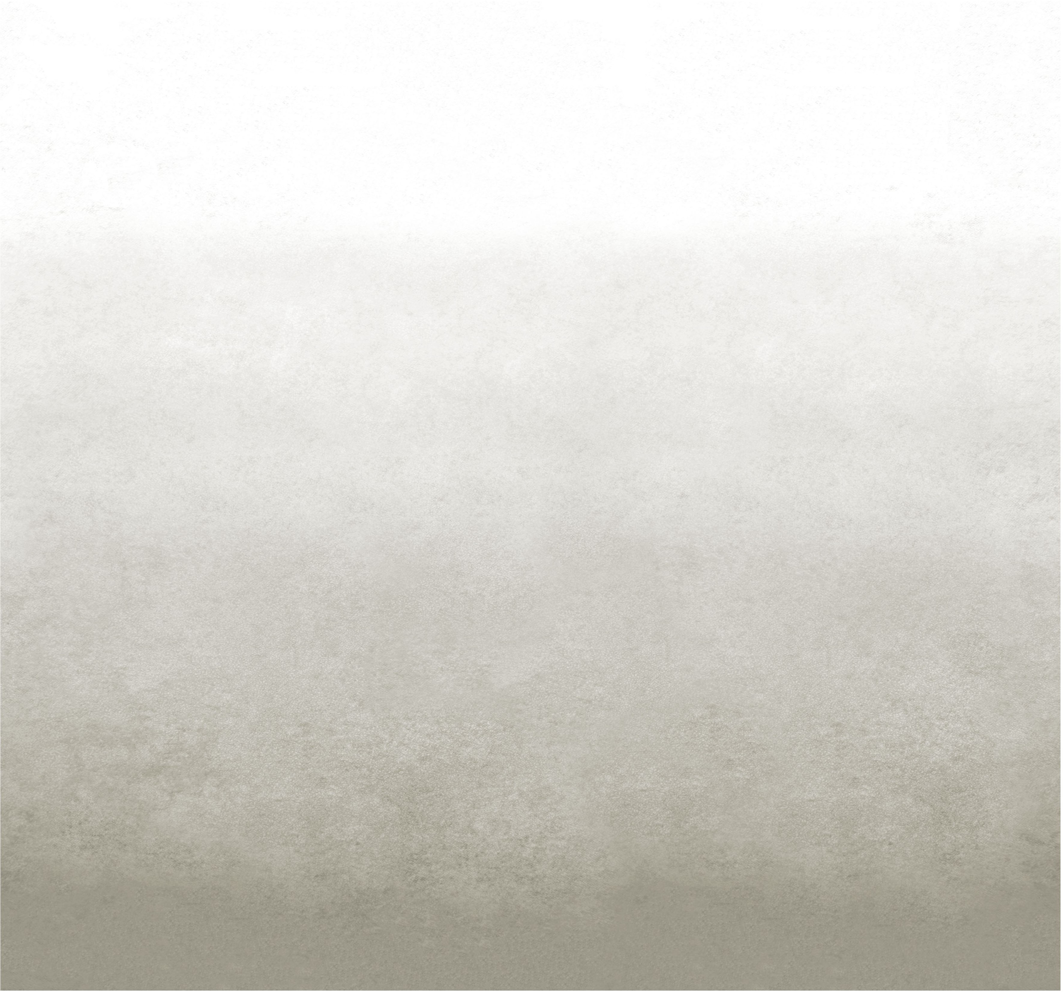 vtwonen Fototapete "Degrade" Ton-in-Ton glatt Grau - 300x280 cm