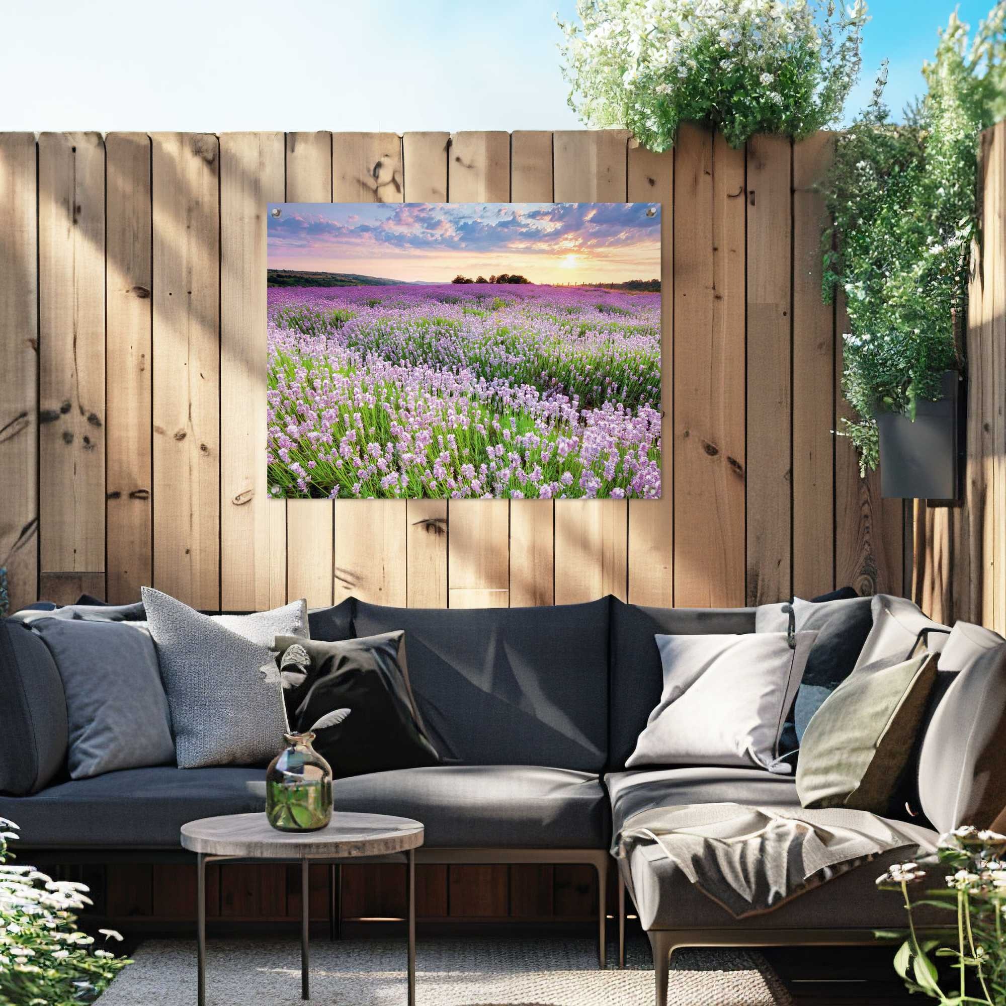 Reinders Poster "Lavender Field" günstig online kaufen
