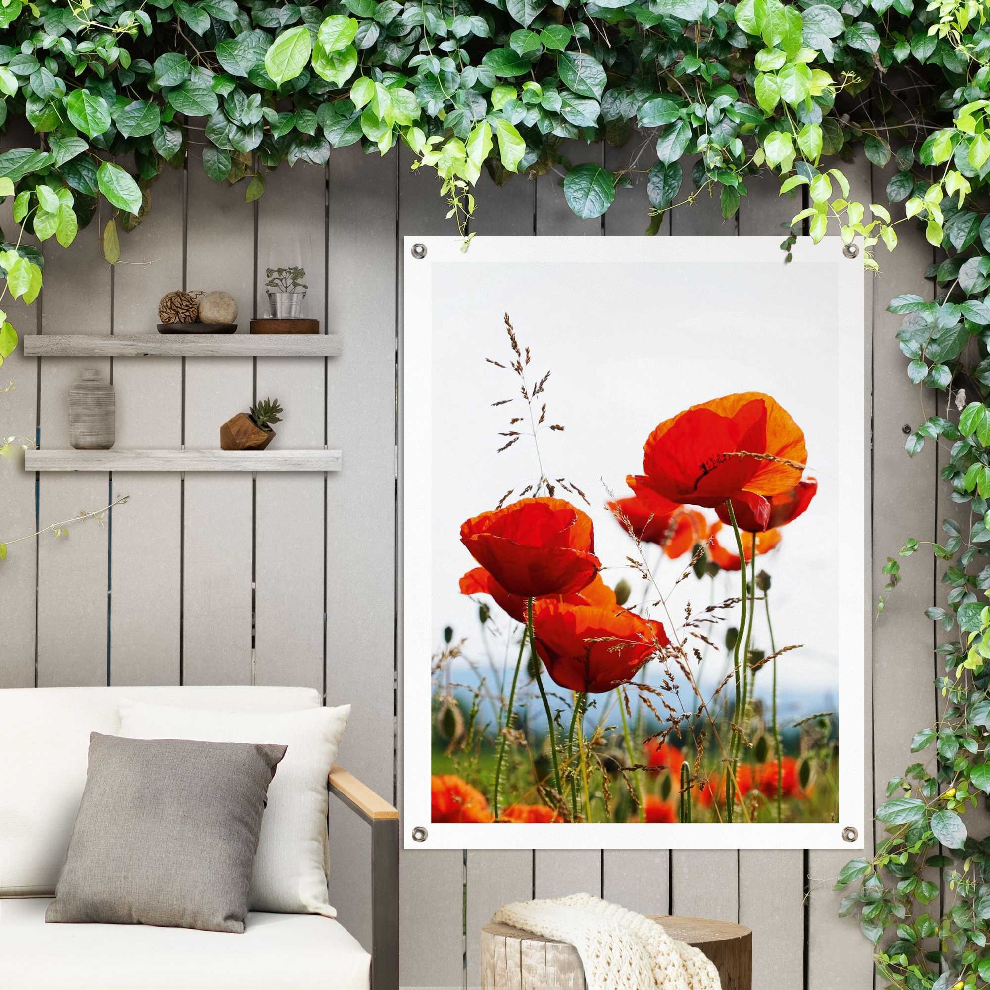 Reinders Poster "Mohnblumen", Outdoor für Garten oder Balkon günstig online kaufen