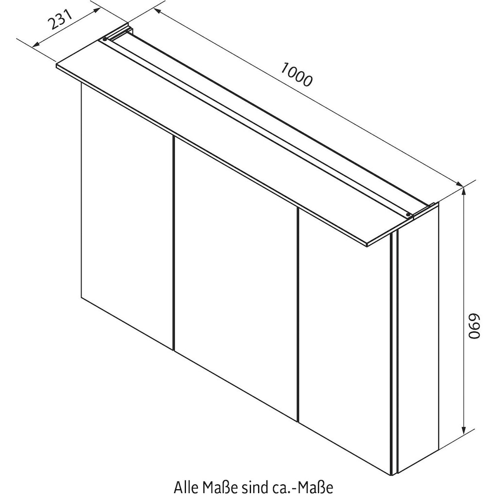 FACKELMANN Spiegelschrank »PE 100 - Dark-Oak«