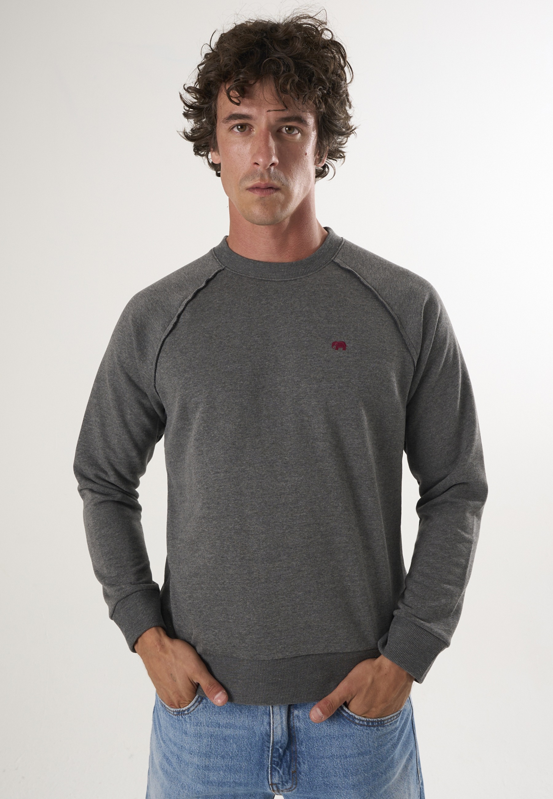 Felix Hardy Sweater "Basic Rundhals Sweatshirt"