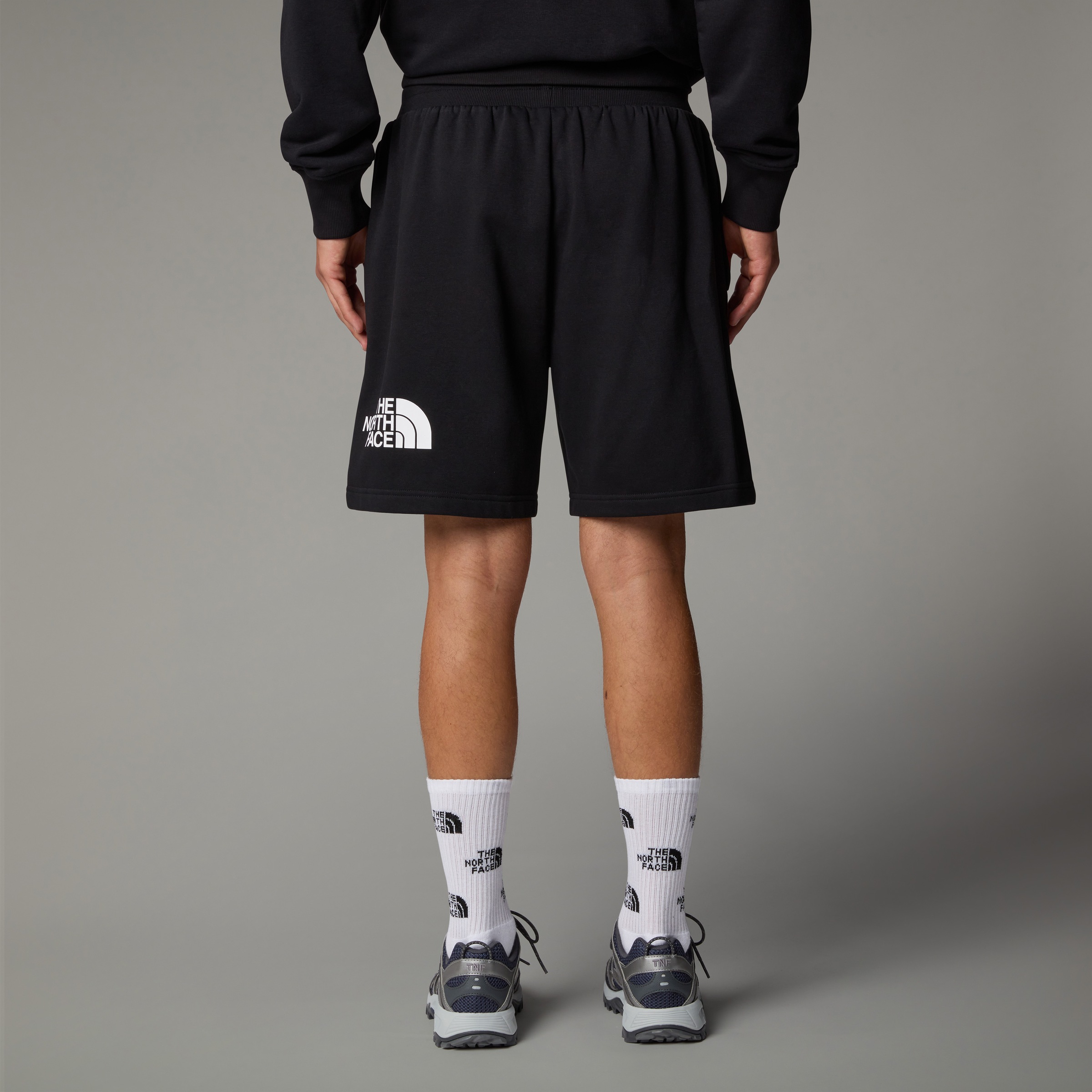 The North Face Sweatshorts "Easy normal geschnittene Shorts für Herren", (1 günstig online kaufen