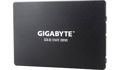 Gigabyte interne SSD »GP-GSTFS31NTD«, 2,5 Zoll kaufen