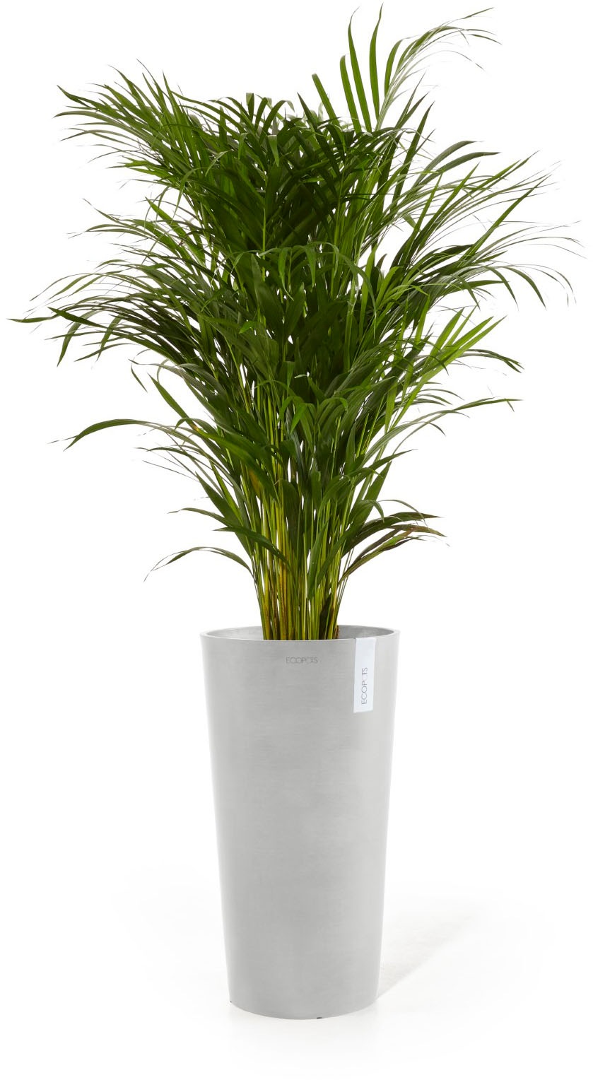 ECOPOTS Blumentopf »AMSTERDAM MID HIGH White Grey« BxTxH: 34x34x66 cm