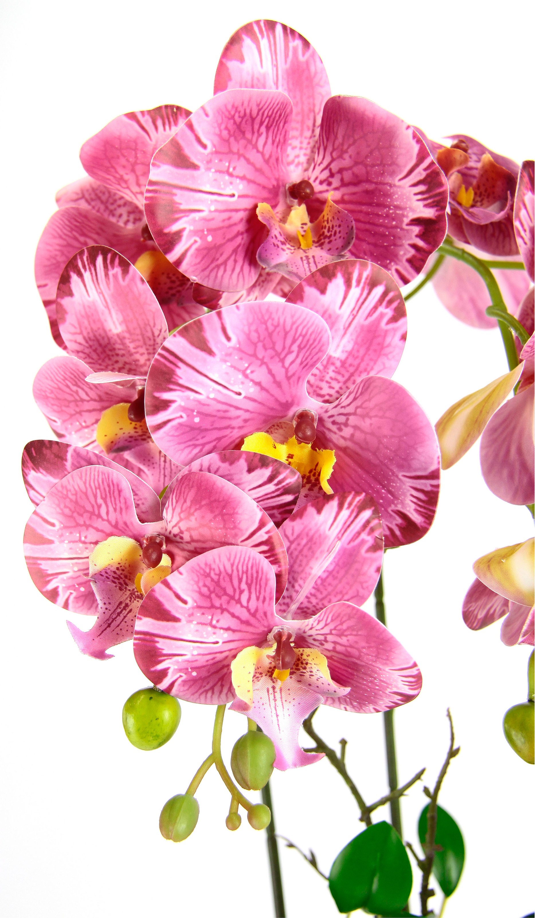 I.GE.A. Kunstblume "Orchidee", Im Topf Phalaenopsis Orchidee Phalaenopsis m günstig online kaufen