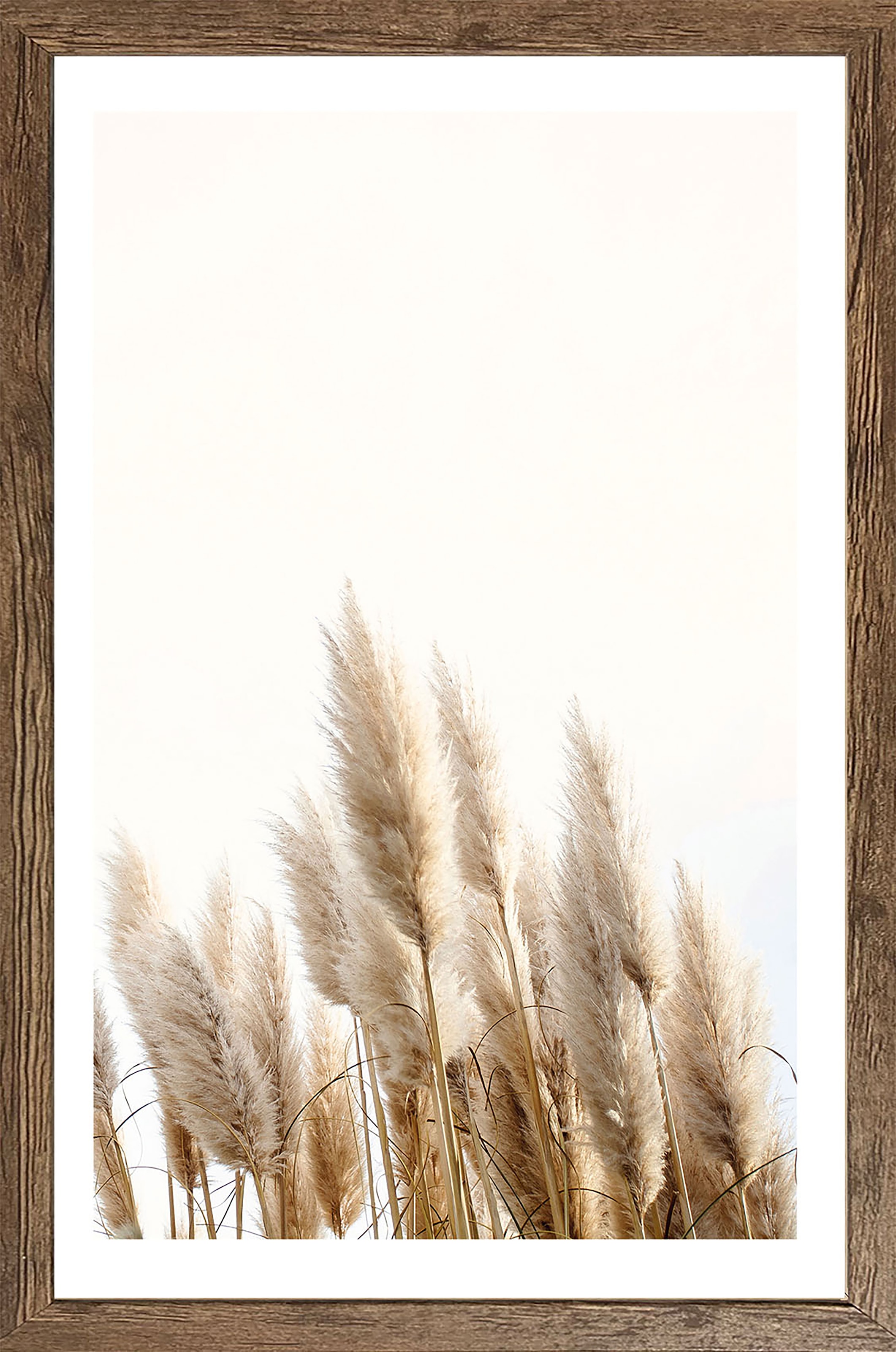 Bönninghoff Bild mit Rahmen, Gräser-Pflanzen-Pflanzenbilder-Natur, (1 St.) günstig online kaufen