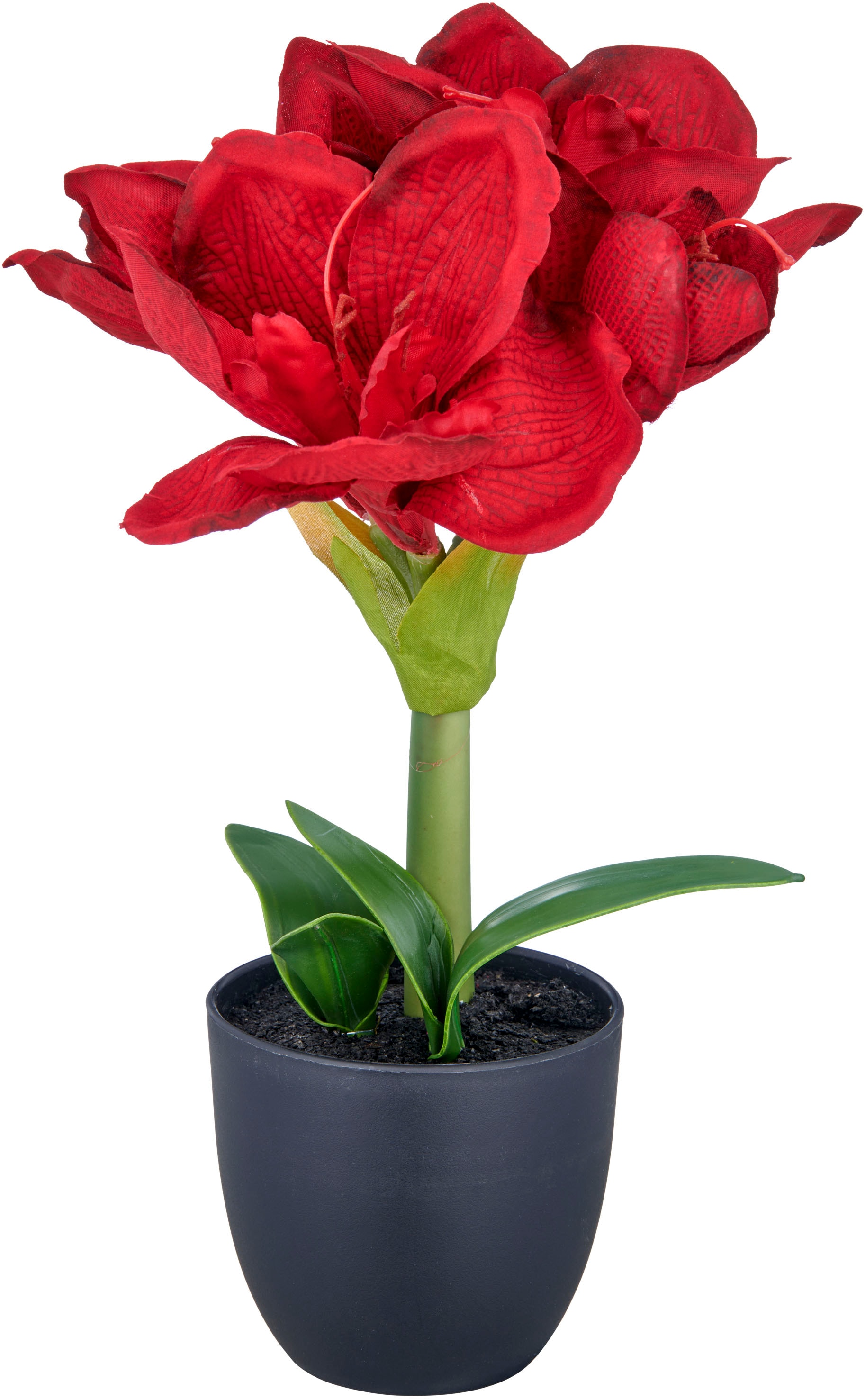 Creativ green Kunstblume "Amaryllis" mit traumhaft schöner Blüte günstig online kaufen