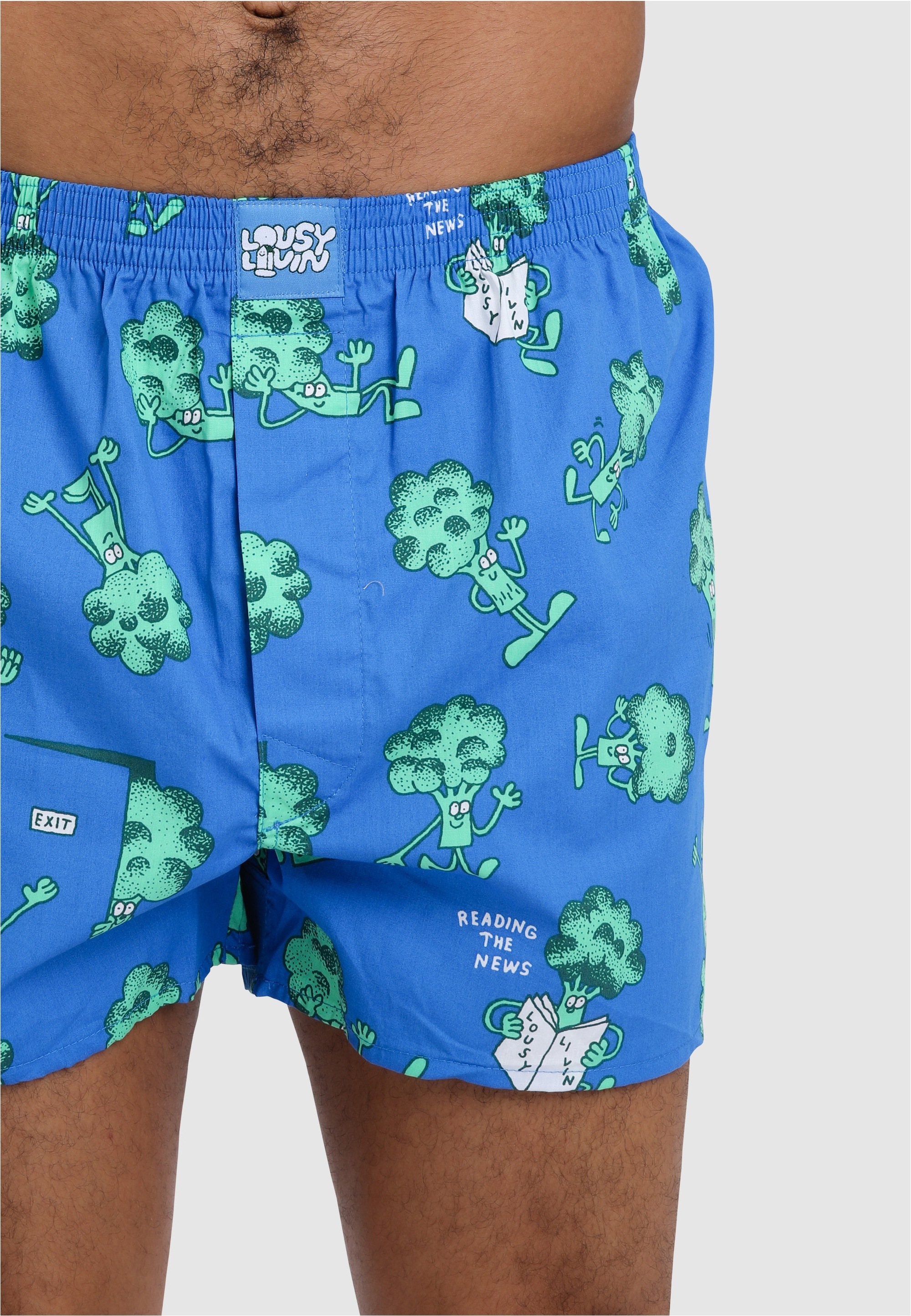 Lousy Livin Boxershorts »Weedy & Broccoli«, mit buntem Design