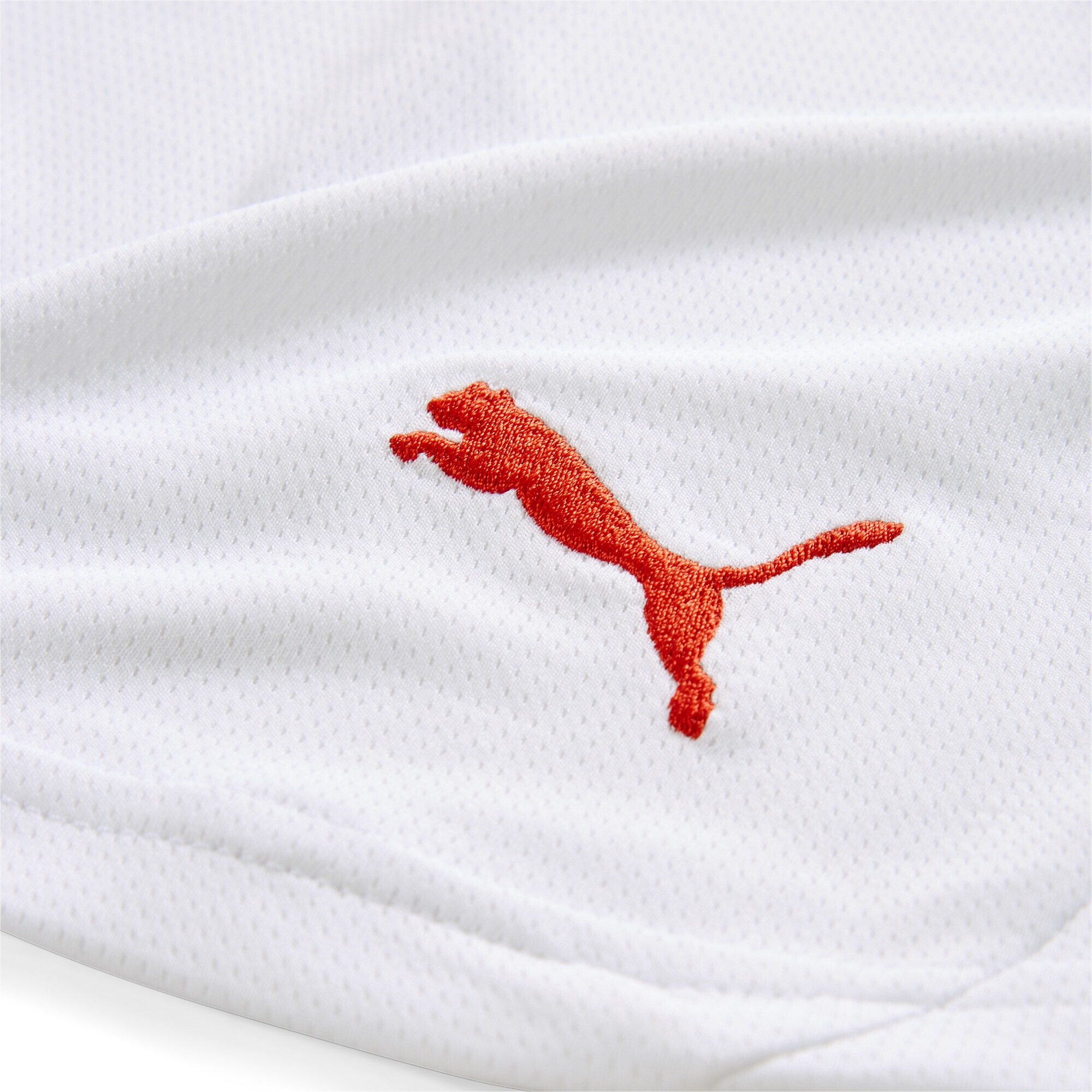 PUMA Sporthose »Stade Reims Fußballshorts Herren«