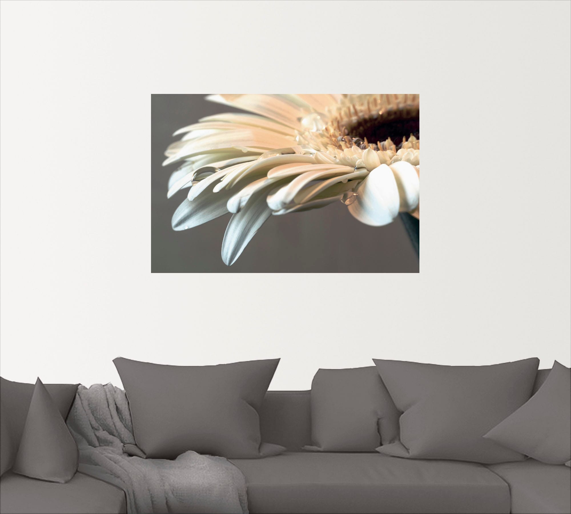 Artland Wandbild "Blüte einer Gerbera", Blumen, (1 St.), als Leinwandbild, günstig online kaufen