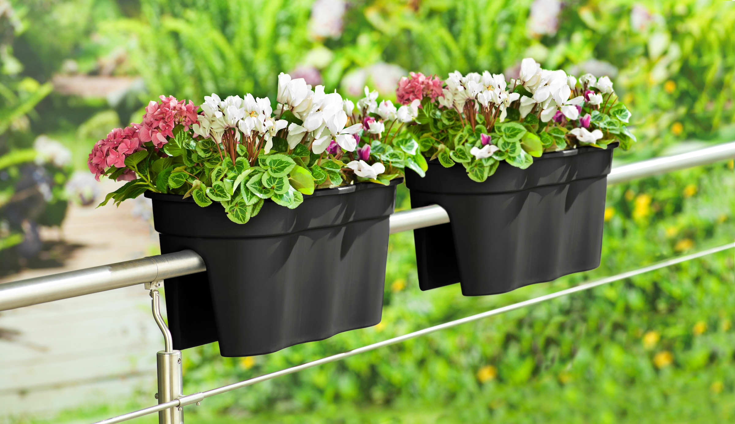 KHW Balkonkasten "Flowerclip XXL" BxTxH: 57,5x27,7x27 cm günstig online kaufen