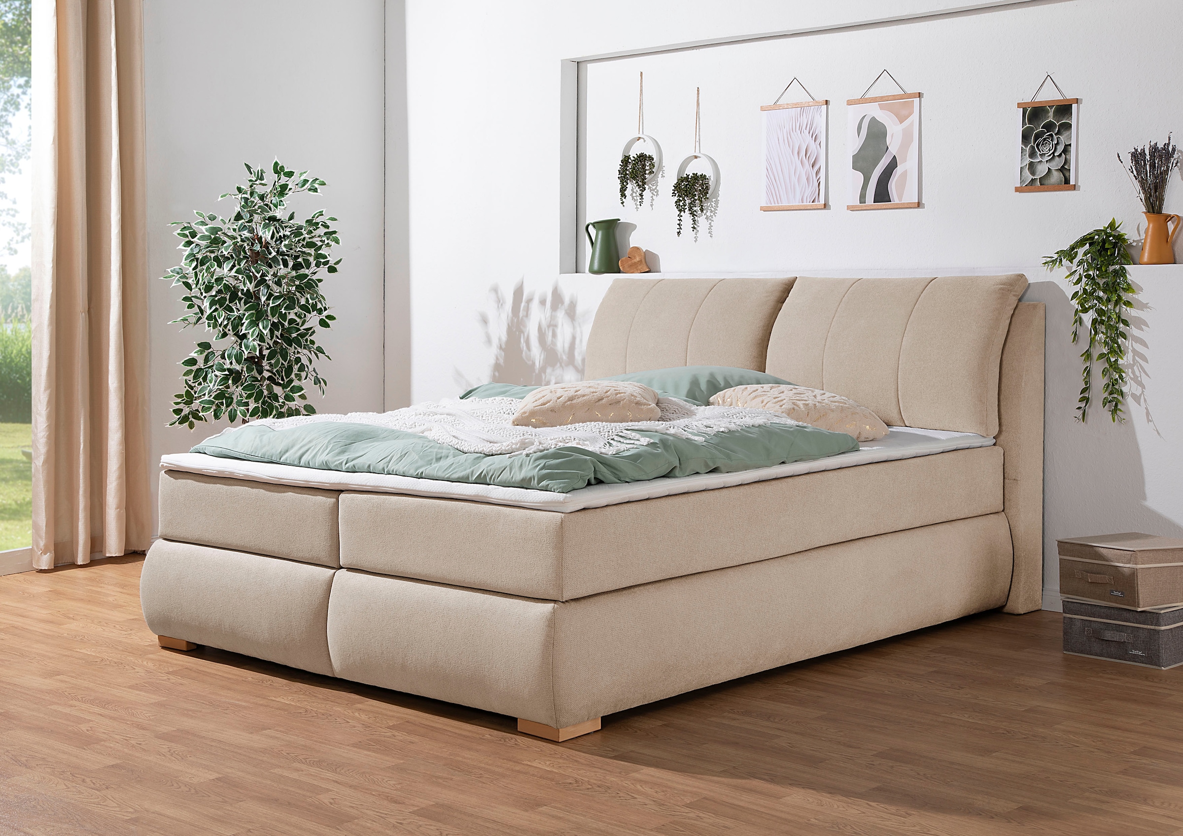 Home affaire Boxspringbett "Breitenthal" abnehmbare Rückenkissen mit Klettband