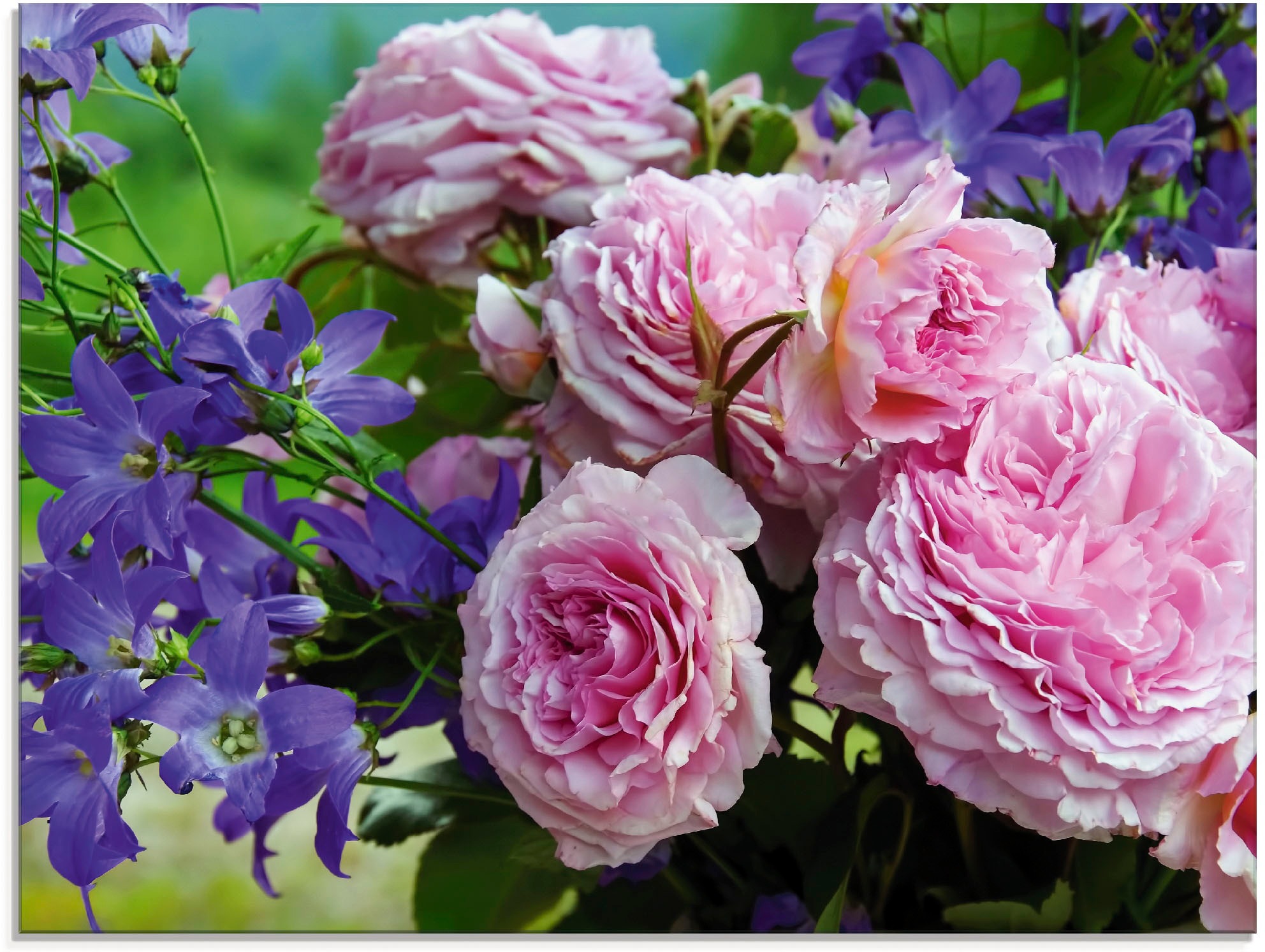 Artland Glasbild "Rosen und Glockenblumen" Blumen 1 Stk. tlg. in verschiedenen Größen