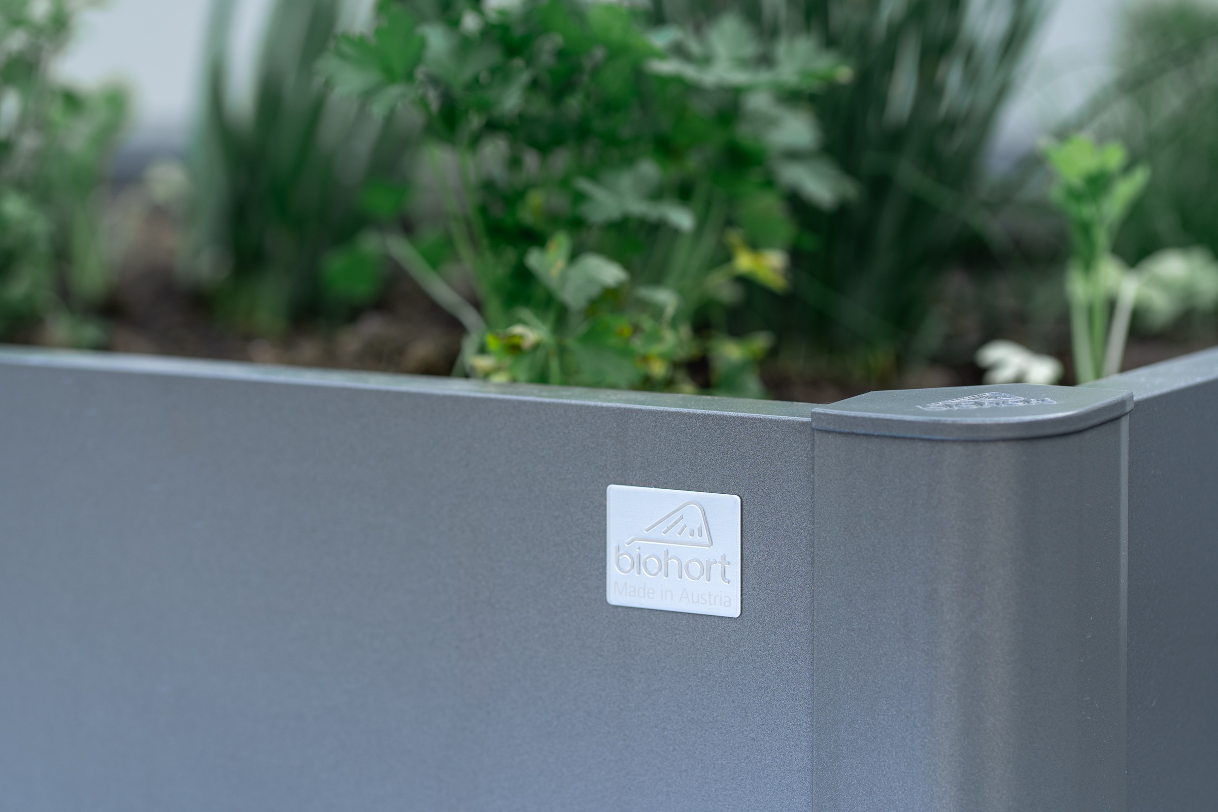 Biohort Hochbeet »1x1 silber-metallic«, 102x102x77 cm, extrem langlebig, aus Metall