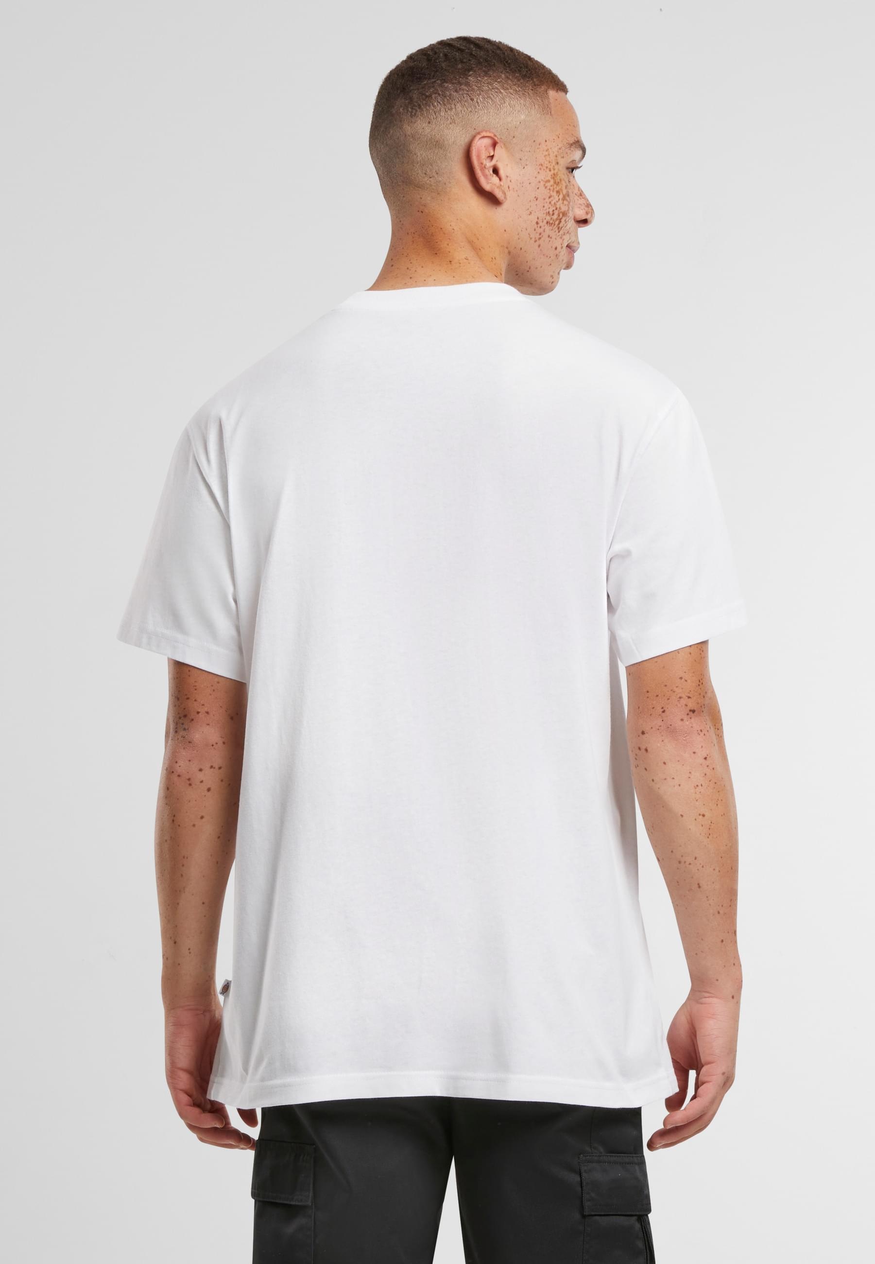 Dickies T-Shirt »Dickies Damen Dickies Summerdale T-Shirt«, (1 tlg.)