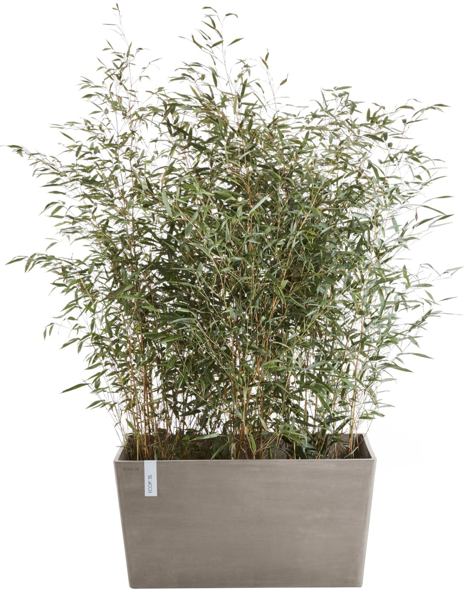 ECOPOTS Blumentopf "Paris 60 Taupe", für den Außenbereich: frostsicher, bru günstig online kaufen