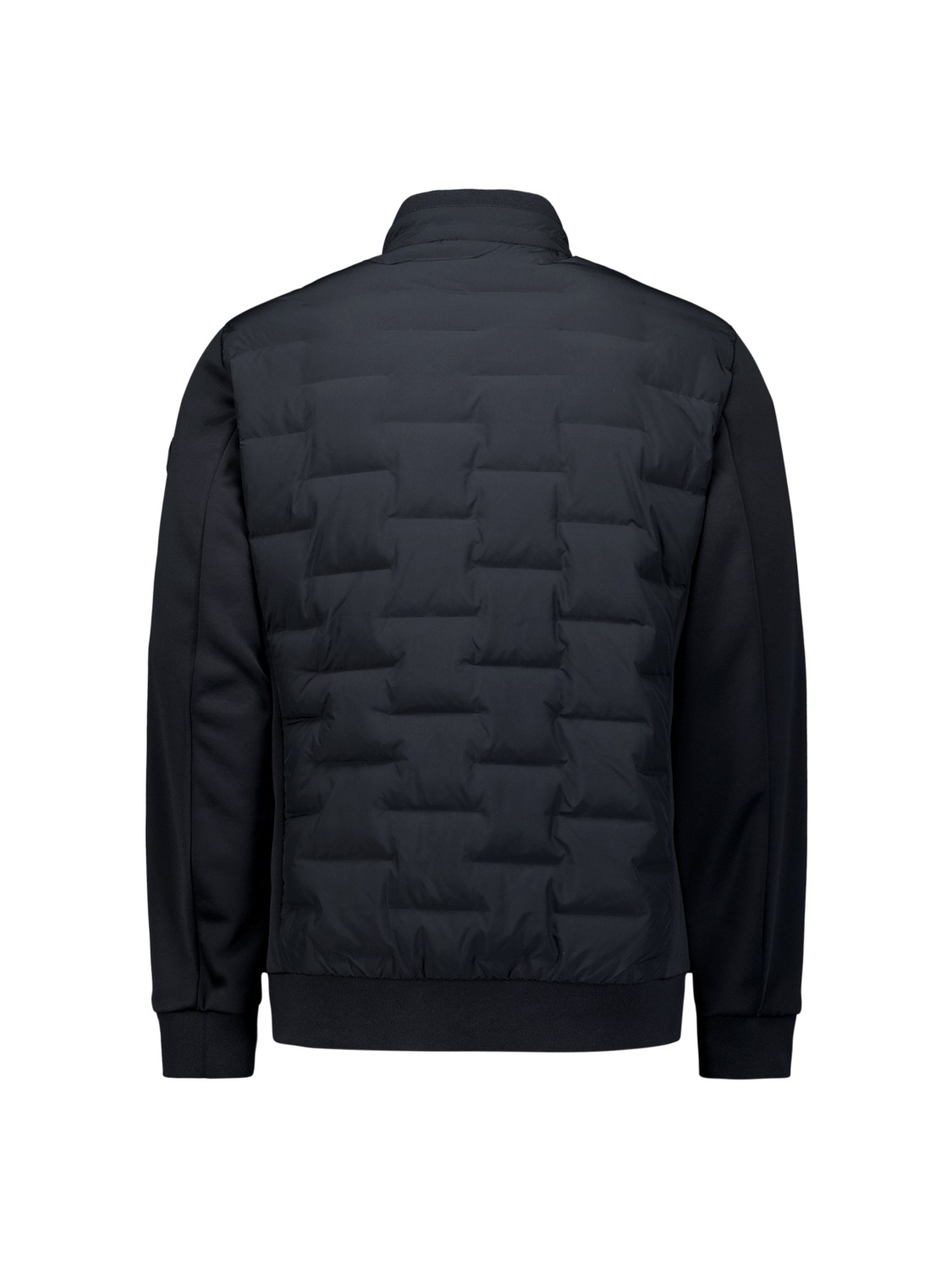 NO EXCESS Leichtdaunenjacke »No Excess Kurz geschnittene jacke«