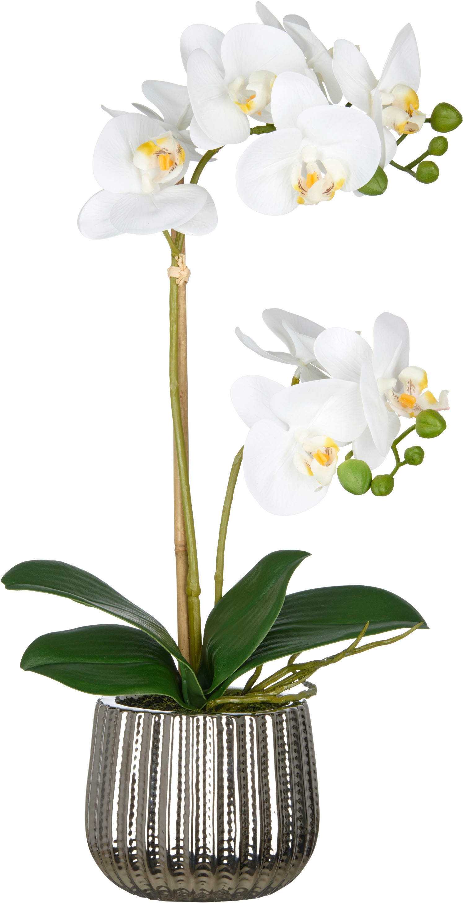 Creativ green Kunstorchidee "Orchidee Phalaenopsis", mit real-touch-Blüten günstig online kaufen