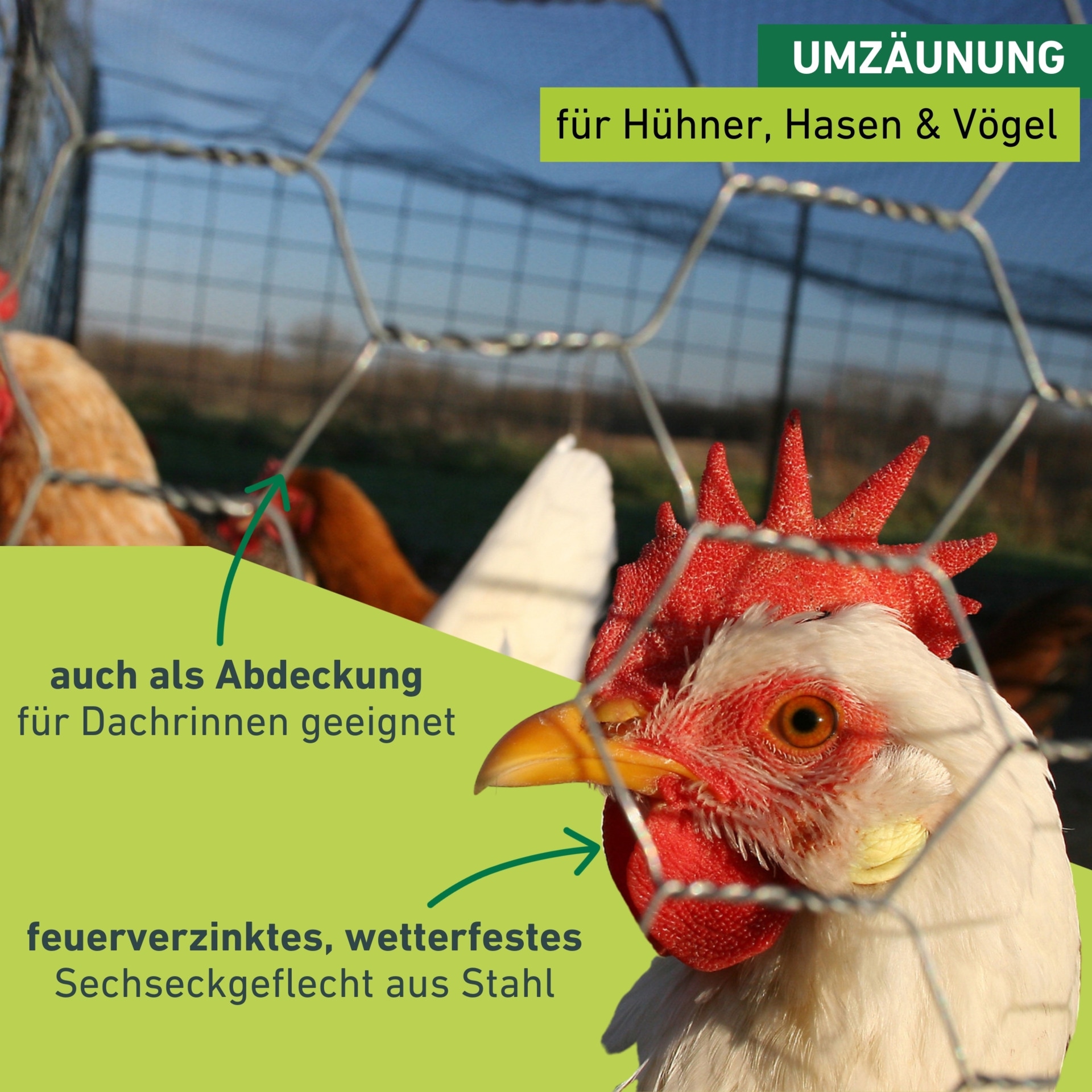Windhager Voliere »für Hasen, Hühner und Vögel, Kleintiergeflecht verzinkt« Sechseck-Geflecht erhältlich in unterschiedlichen Größen