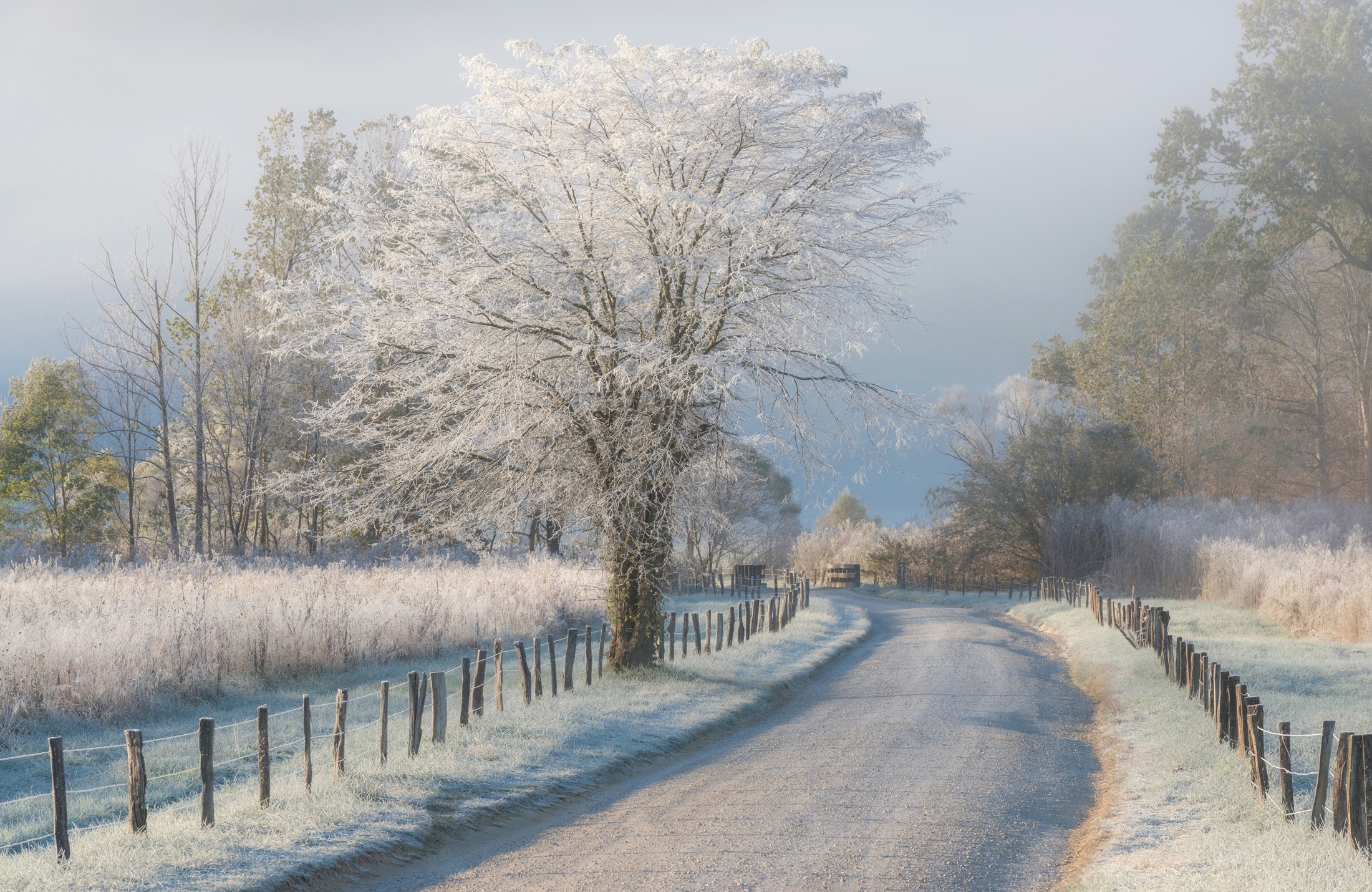 Papermoon Fototapete "Photo-Art CHRIS MOORE, EIN FROSTIGER MORGEN"