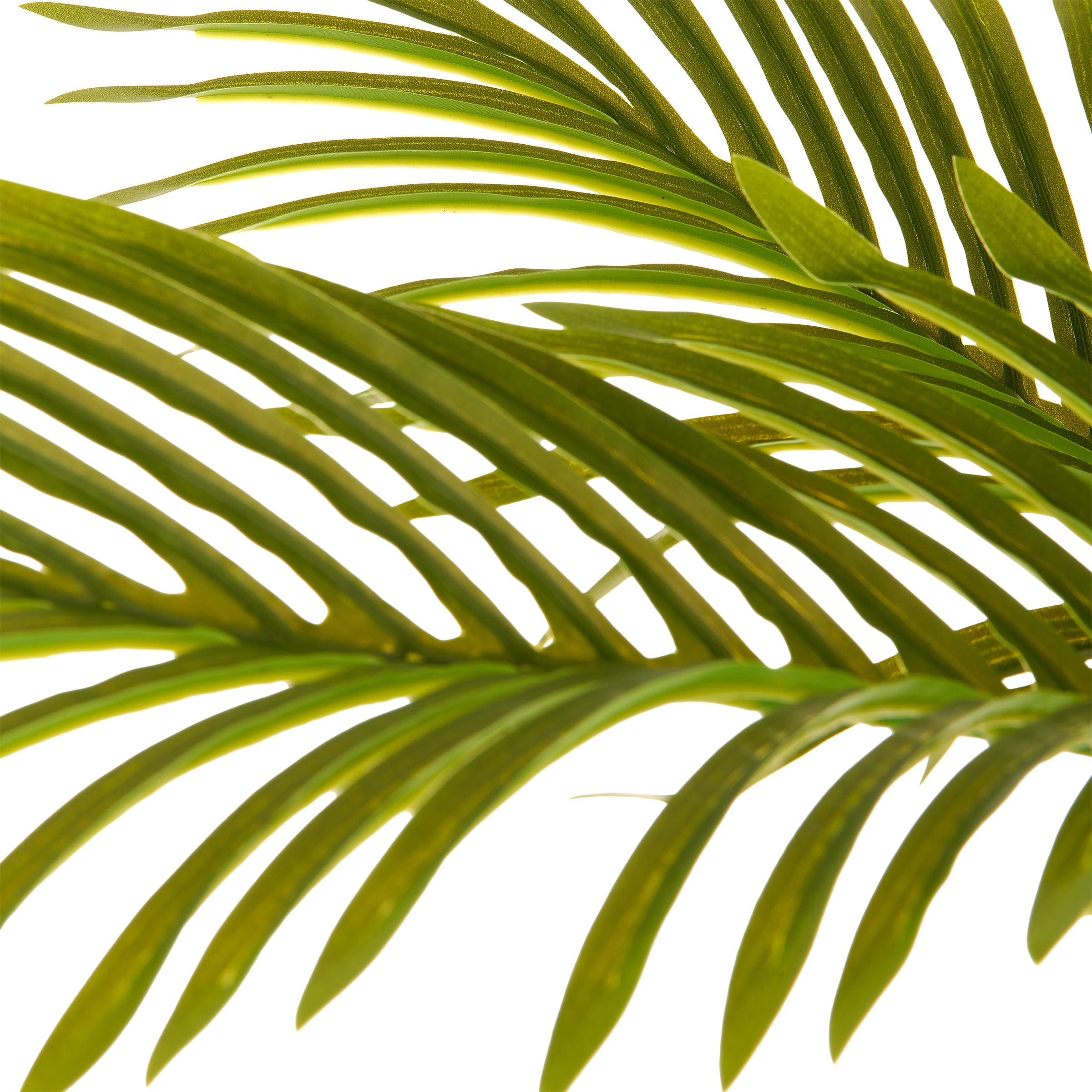 Creativ green Kunstpalme »Arecapalme« mit naturgetreuen Palmwedeln