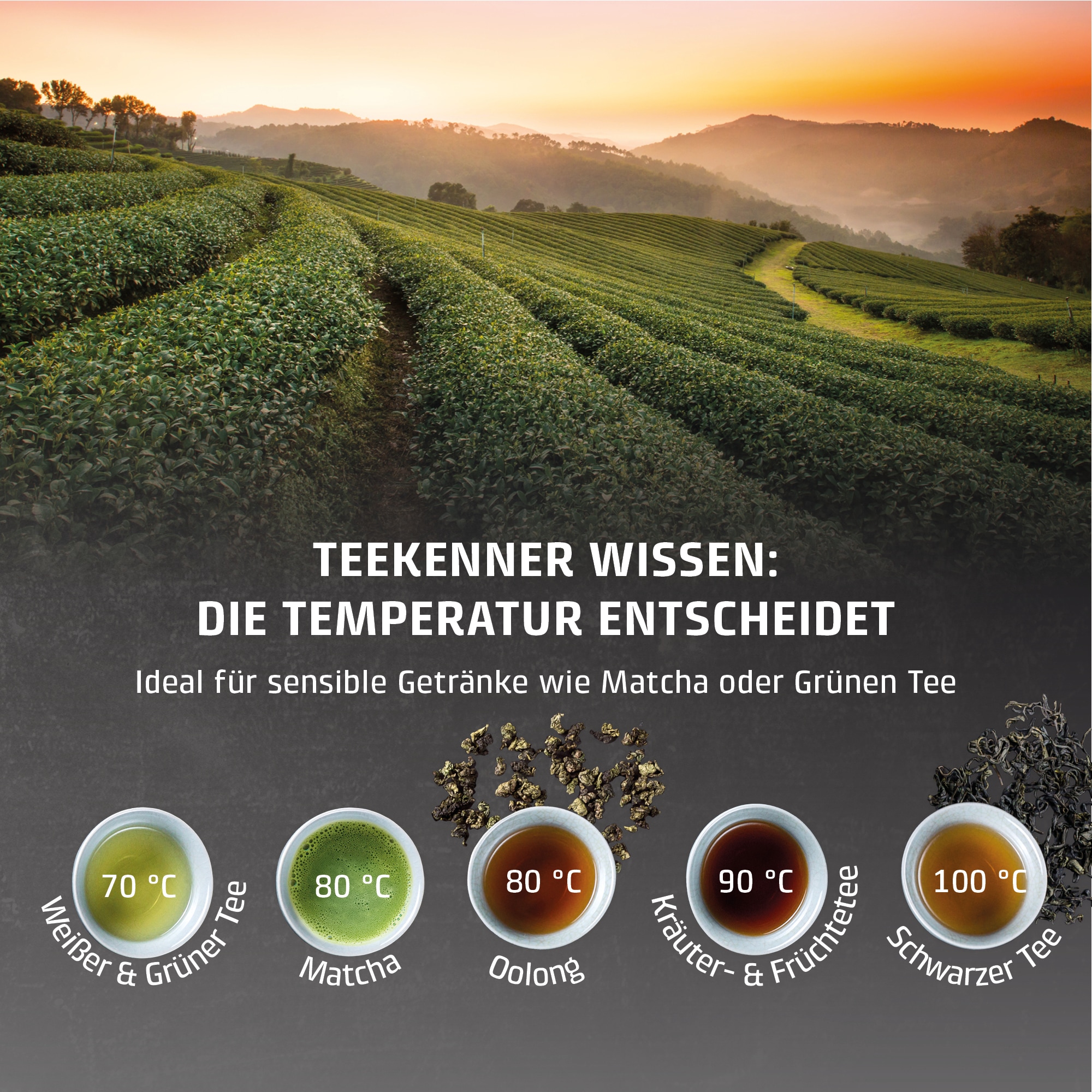 Caso Heißwasserspender »1889 HW 770 Advanced« 2,7 l 2600 W 13-stufiger Temperaturwahl von 40 - 100 °C in 5 °C-Schritten