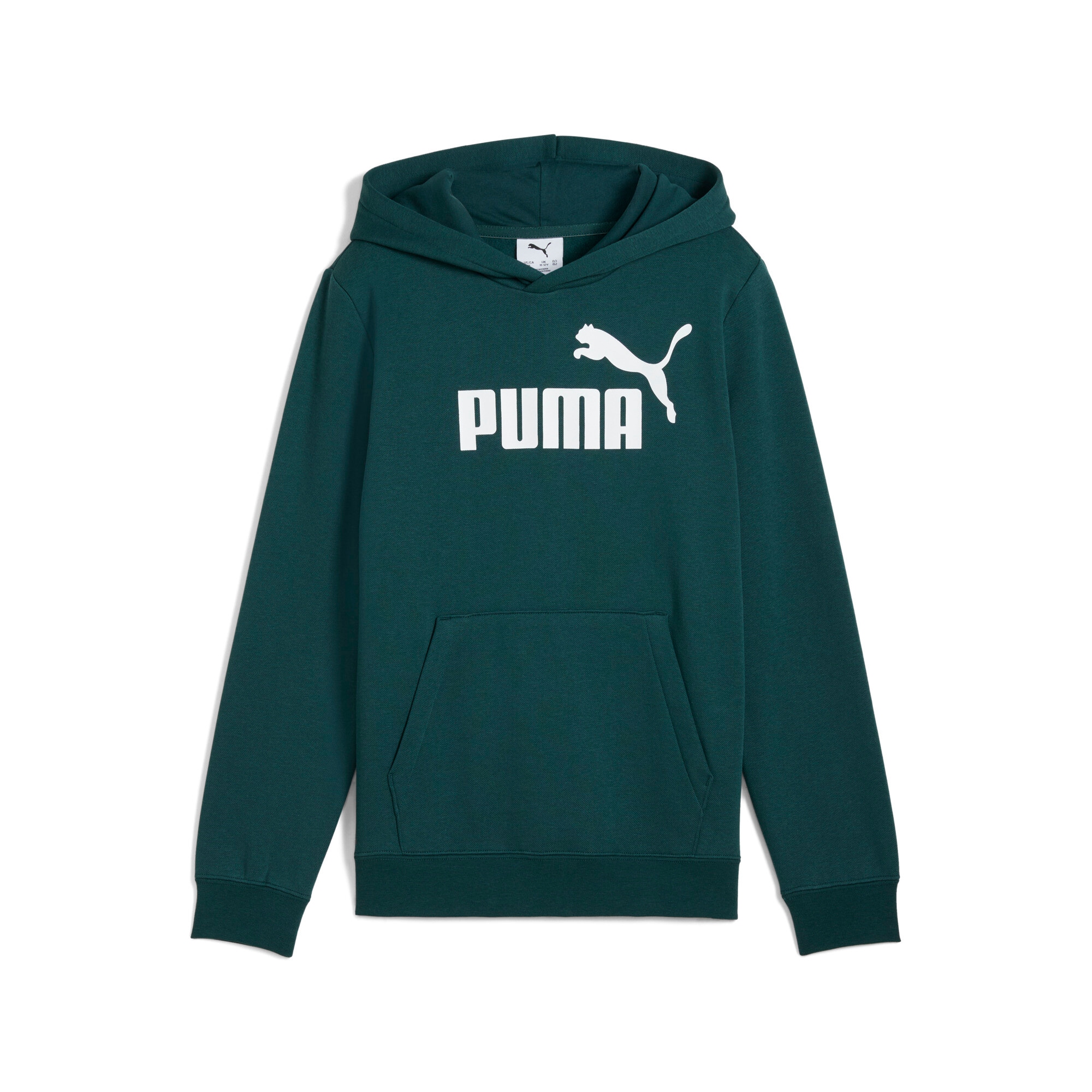PUMA Kapuzensweatshirt »ESS NO. 1 LOGO HOODIE FL B«