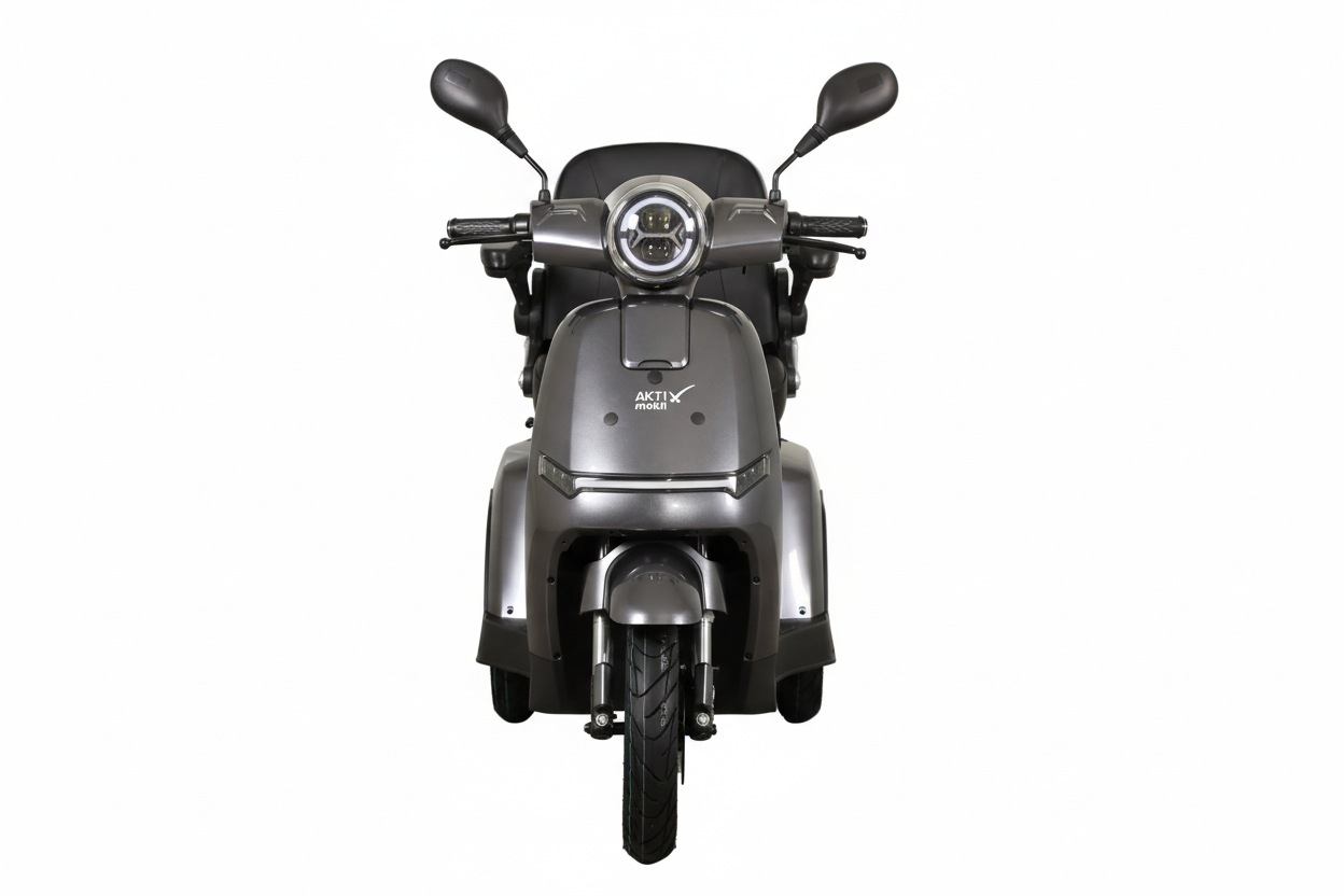 Aktiv mobil Elektromobil »AM E-Rider 1000, 25 km/h mit Topcase« 1.000 W 25 km/h Topcase mit Fassungsvermögen von ca. 25 l, Staufach mit ca. 19 l