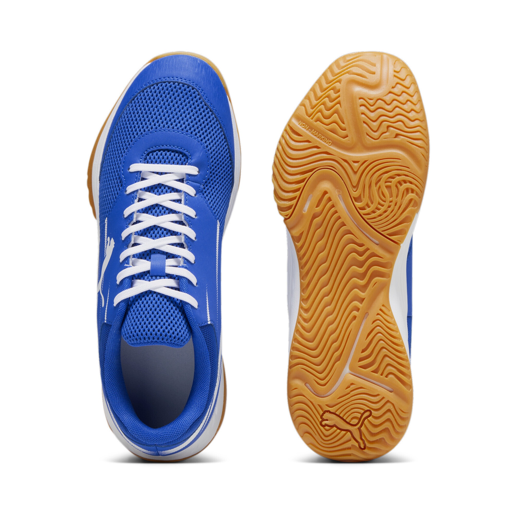 PUMA Trainingsschuh »Varion II Handballschuhe Erwachsene«