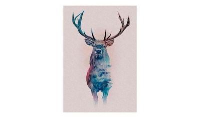 Poster »Animals Forest Deer«, Tiere, (1 St.)