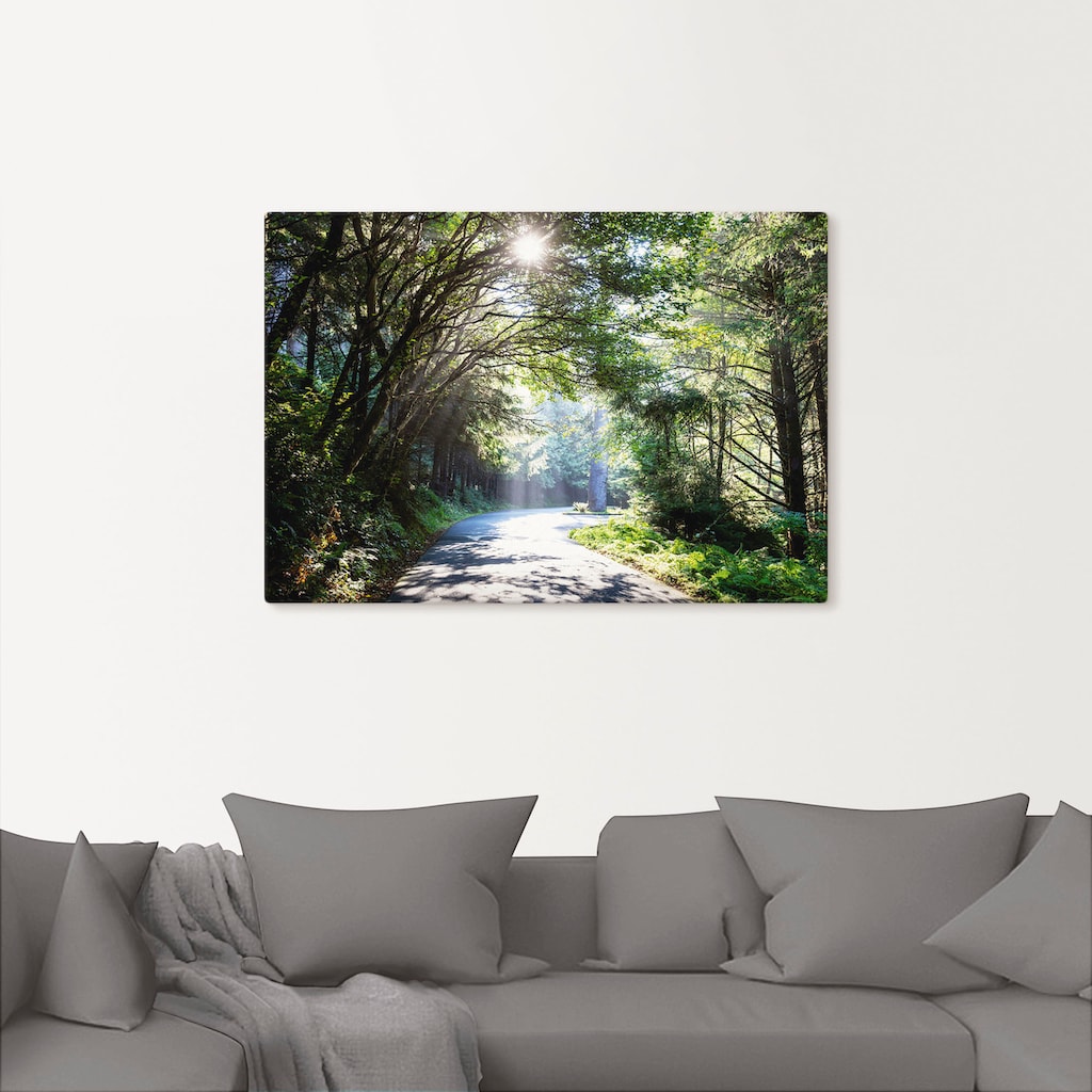 Artland Wandbild »Sonniger Wald«, Baumbilder, (1 St.)